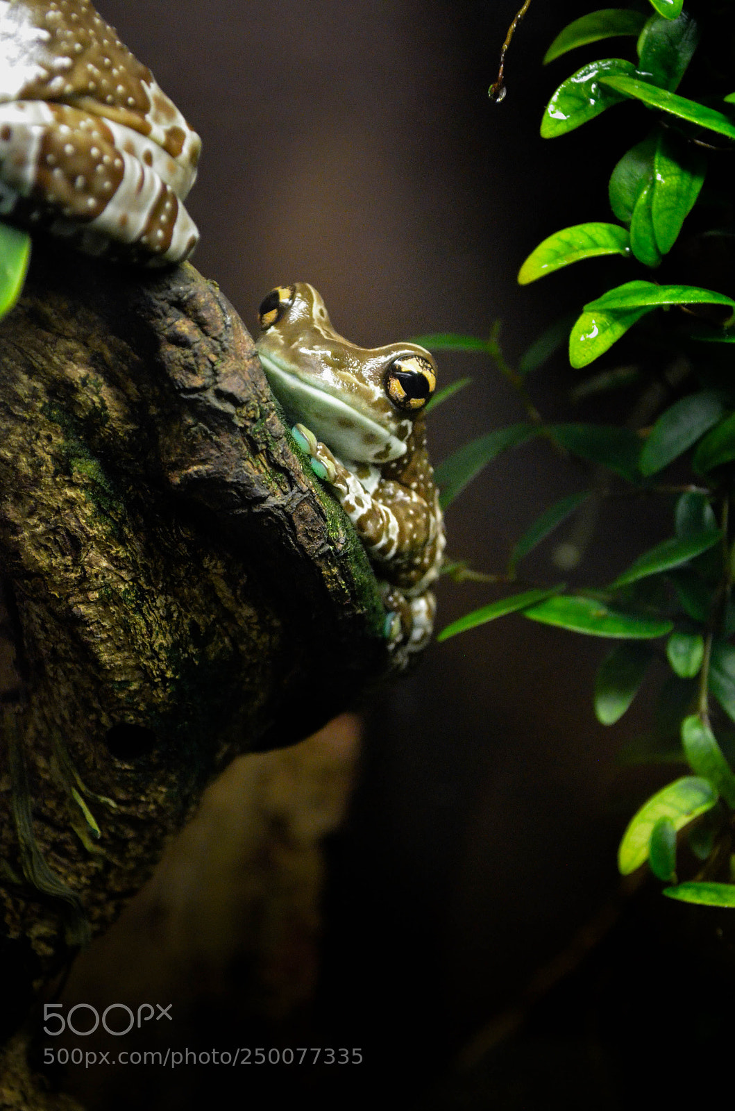 Nikon D5100 sample photo. Untitled photography