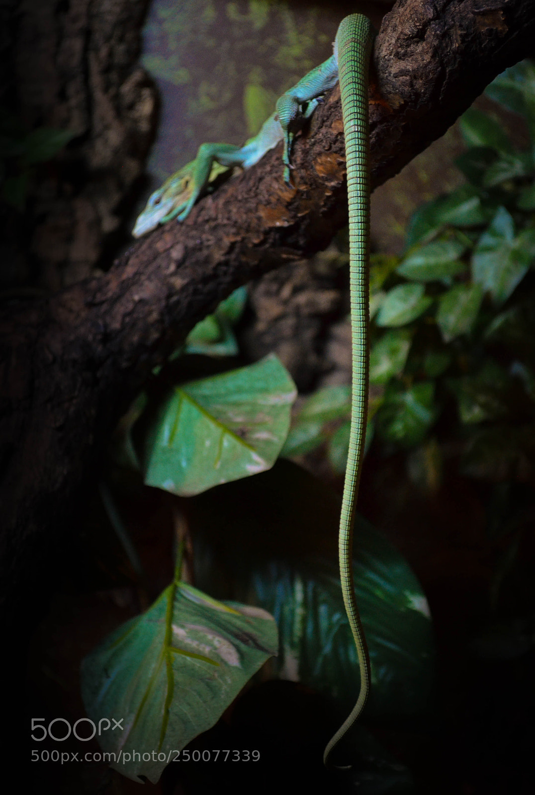 Nikon D5100 sample photo. Untitled photography