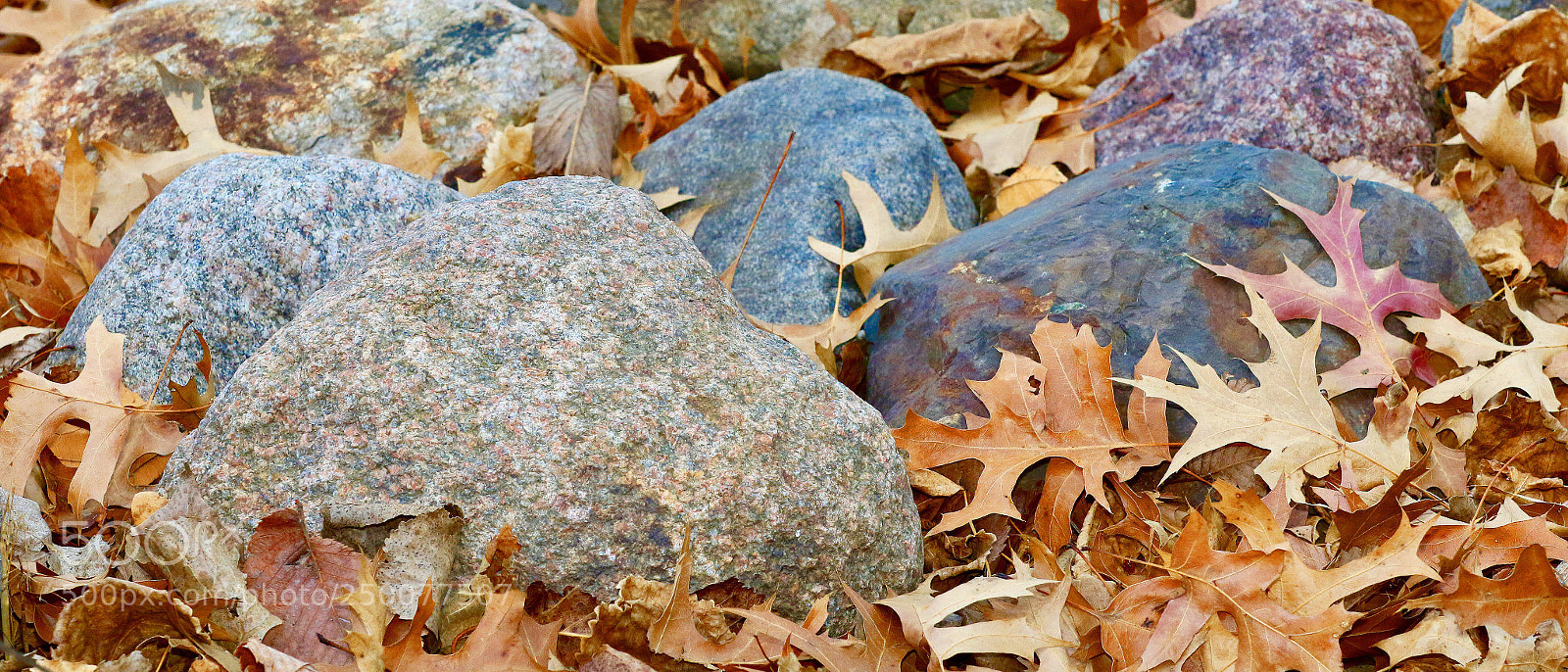 Canon EOS 7D Mark II sample photo. Colorful photography