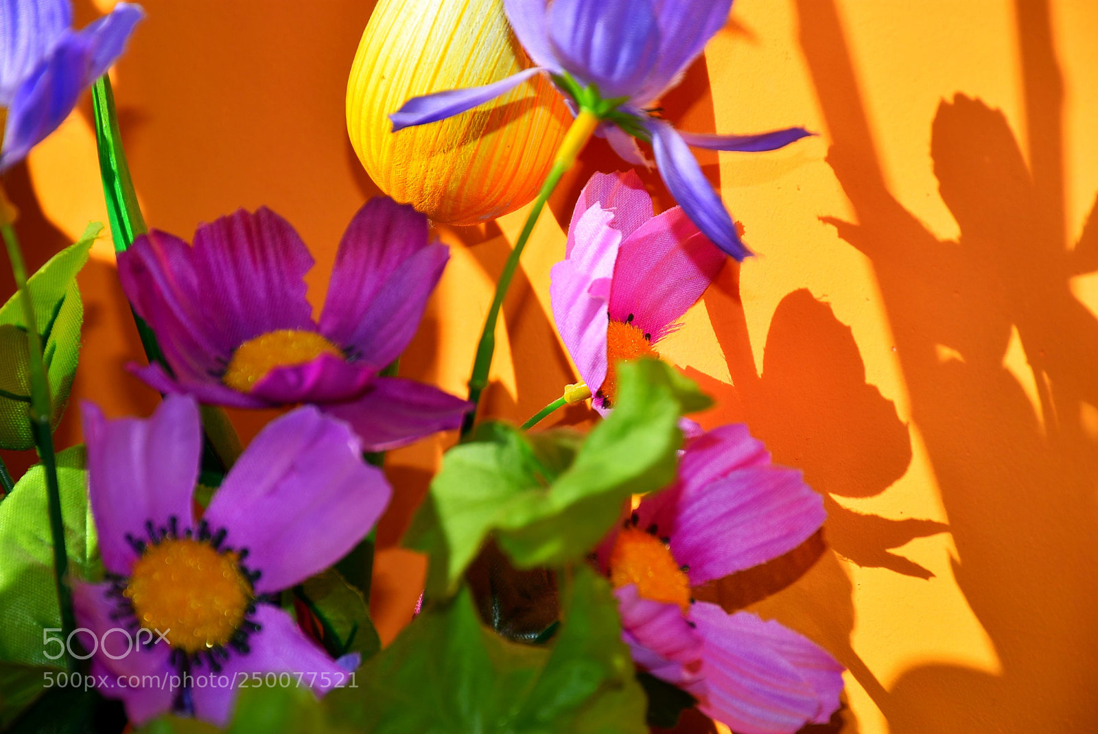 Nikon D7200 sample photo. Dsc photography