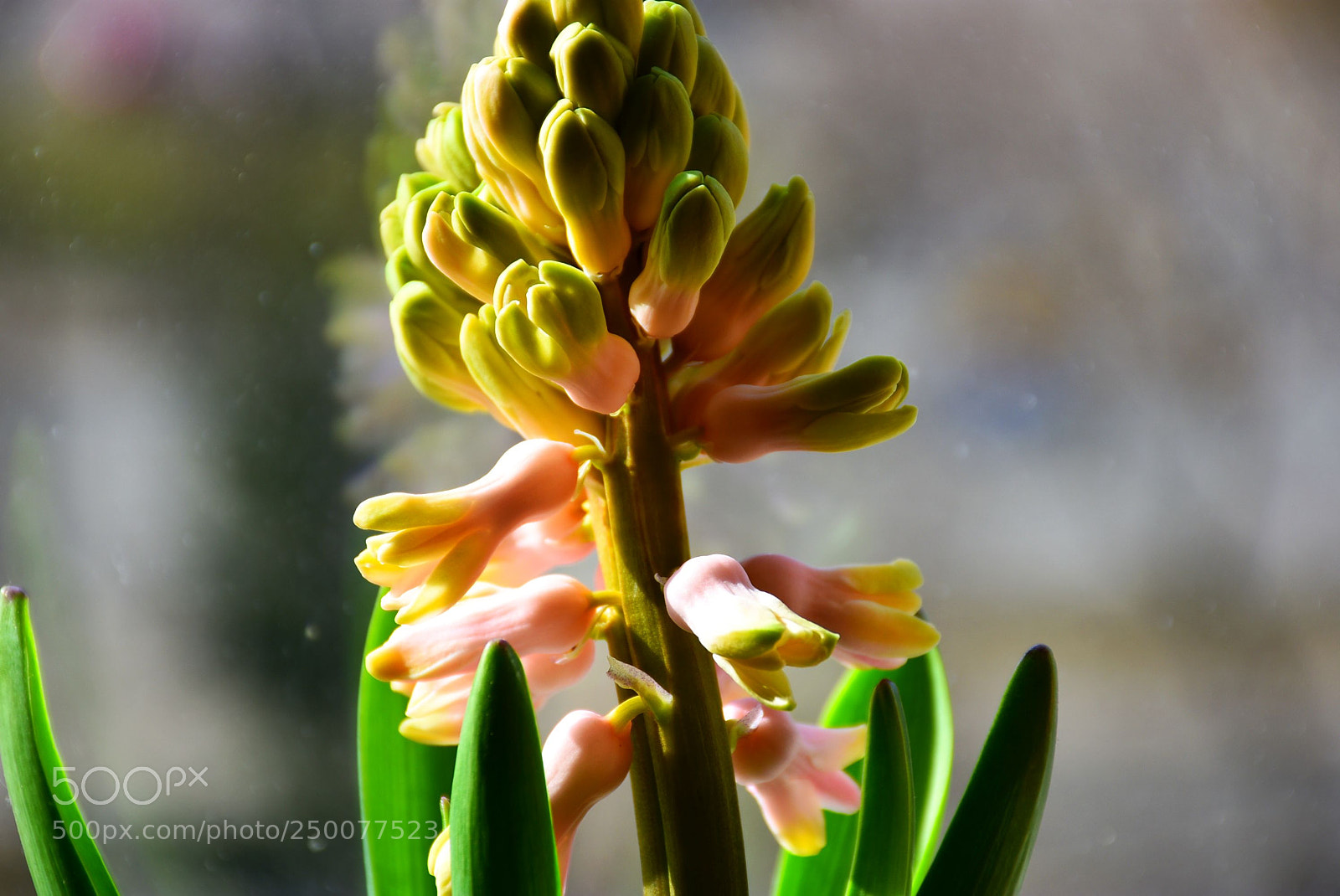 Nikon D7200 sample photo. Dsc photography