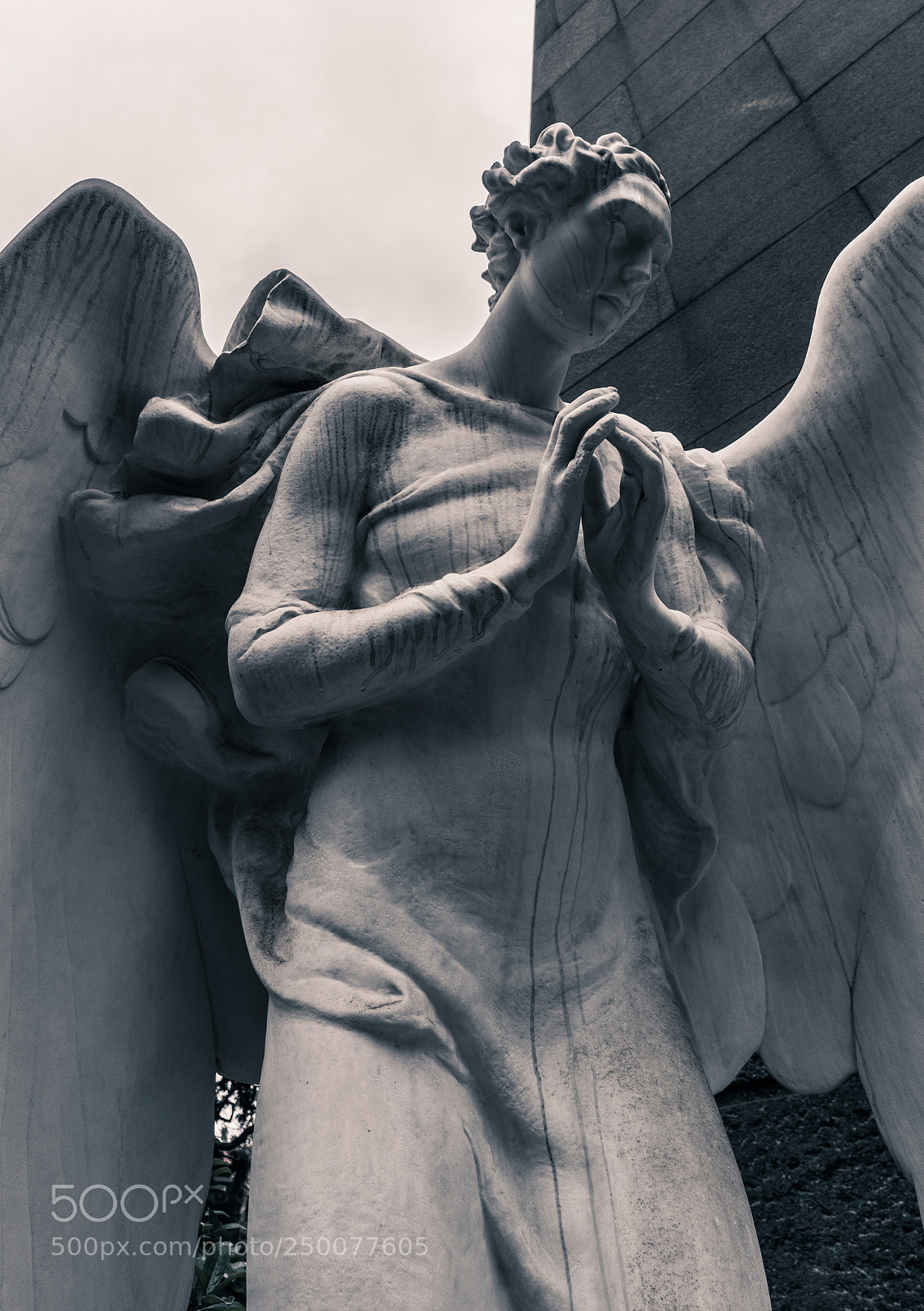 Sony a7R II sample photo. Angel photography