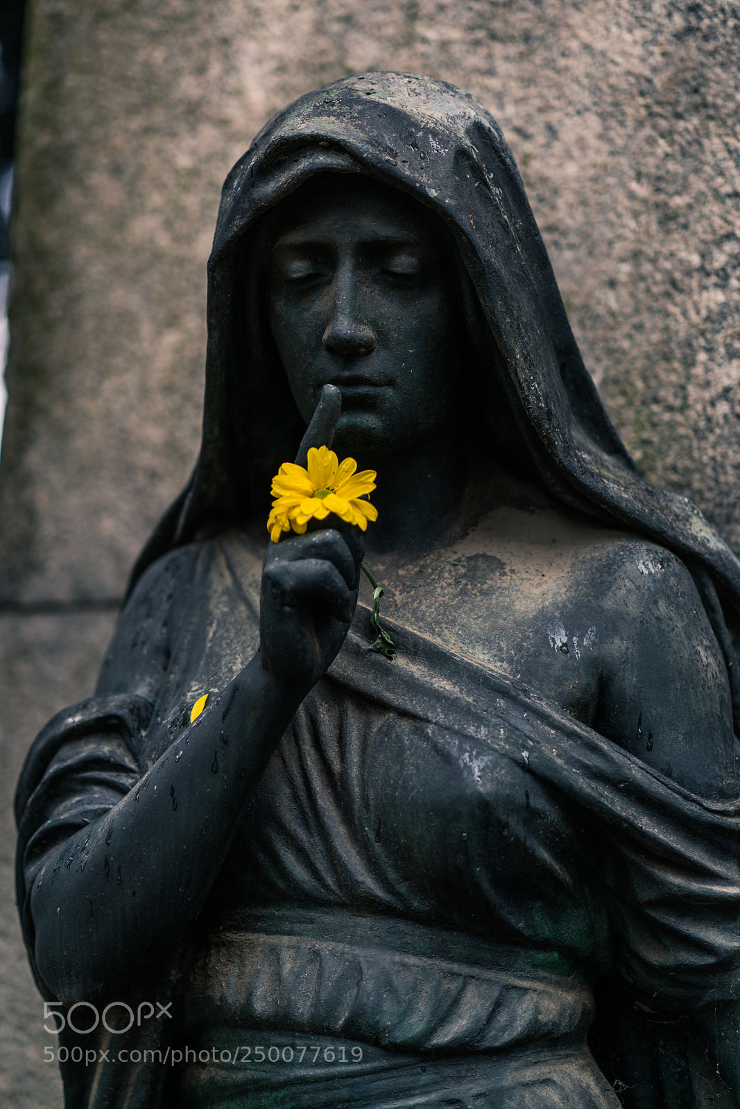 Sony a7R II sample photo. Silence photography