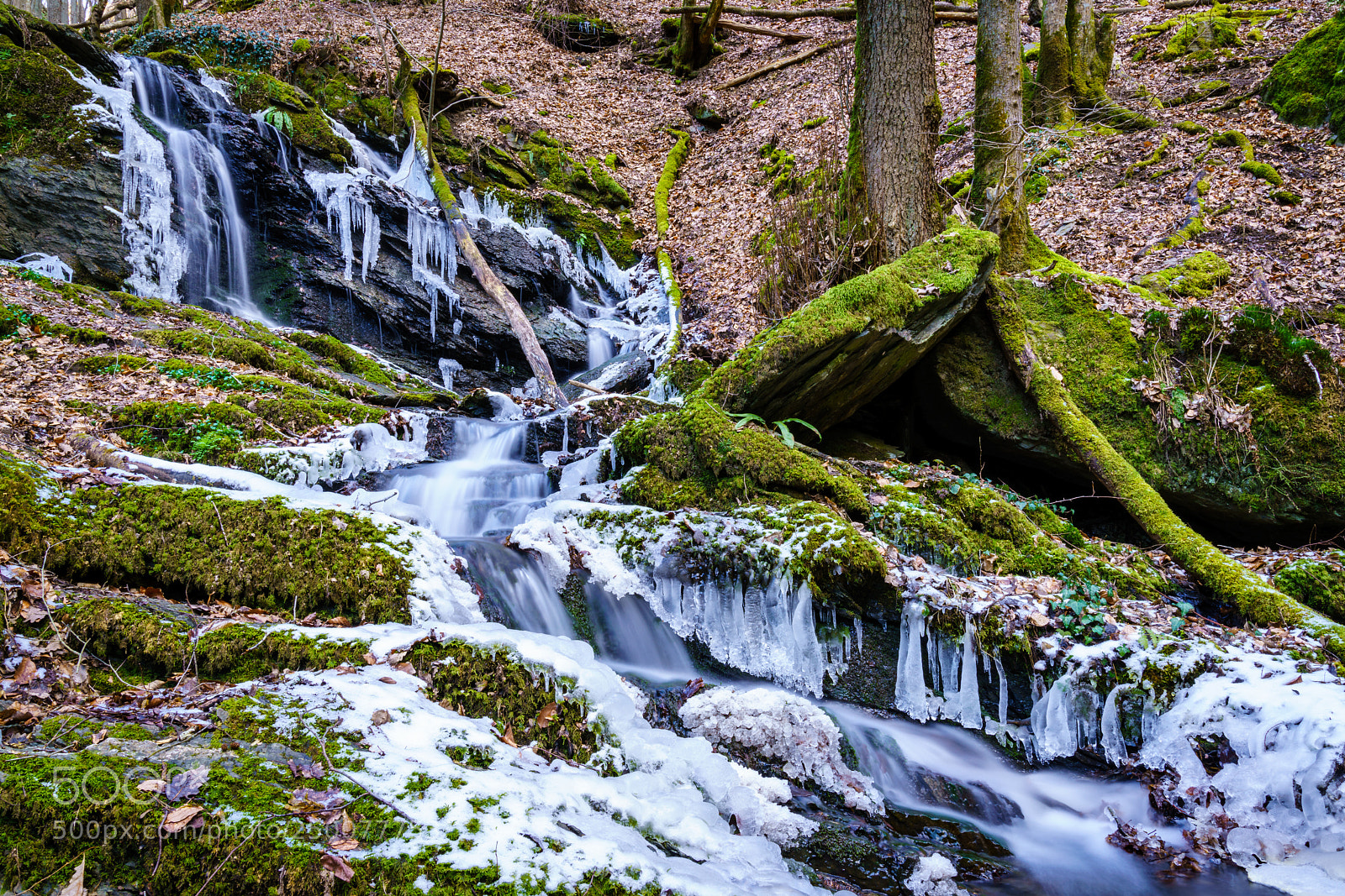 Sony a7R II sample photo. Ehrbachtal photography