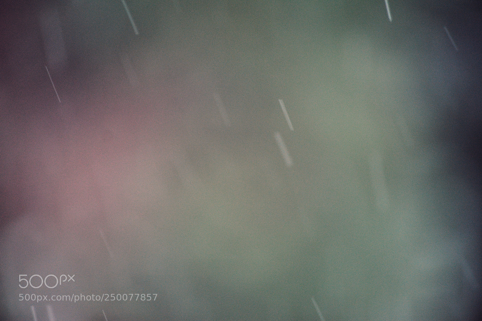 Nikon D5200 sample photo. Verticalized snow photography
