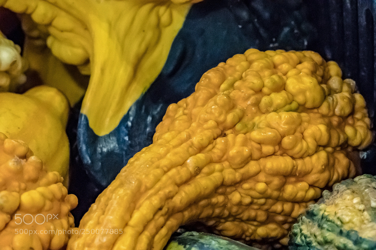 Sony a9 sample photo. Texture of a squash photography