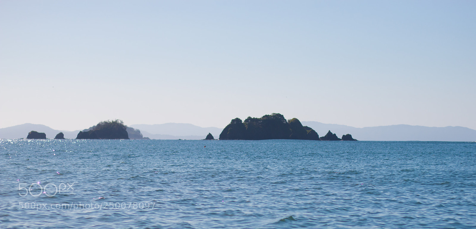 Canon EOS 70D sample photo. Sea biscuit photography
