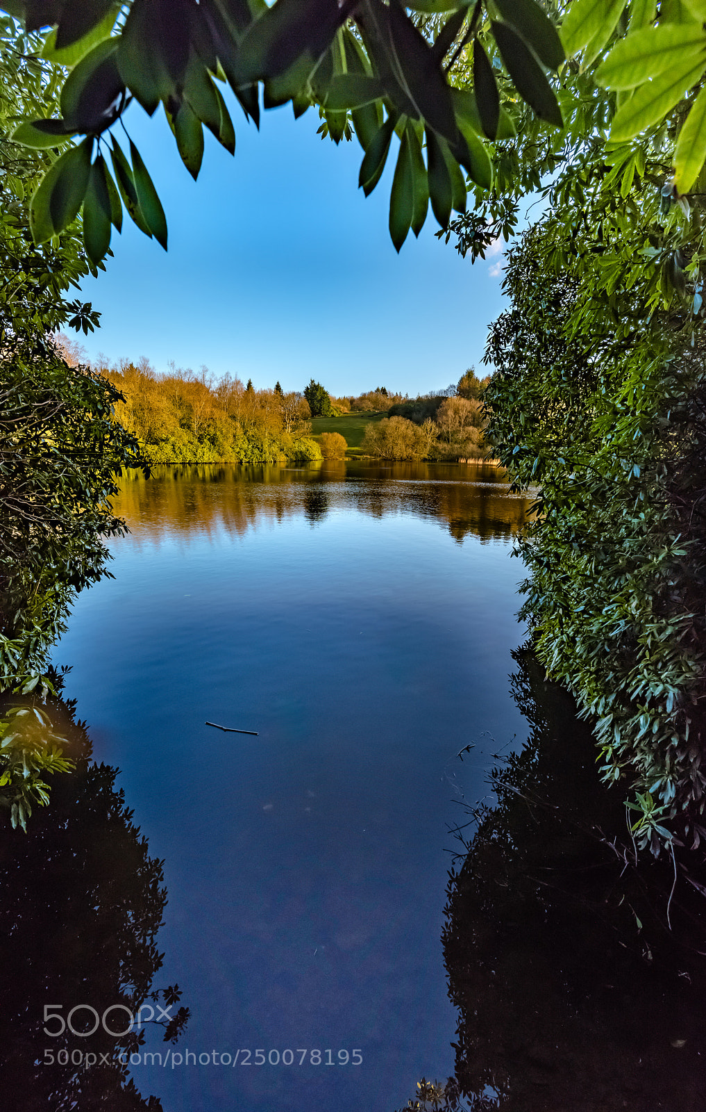 Nikon D810 sample photo. The lookout photography