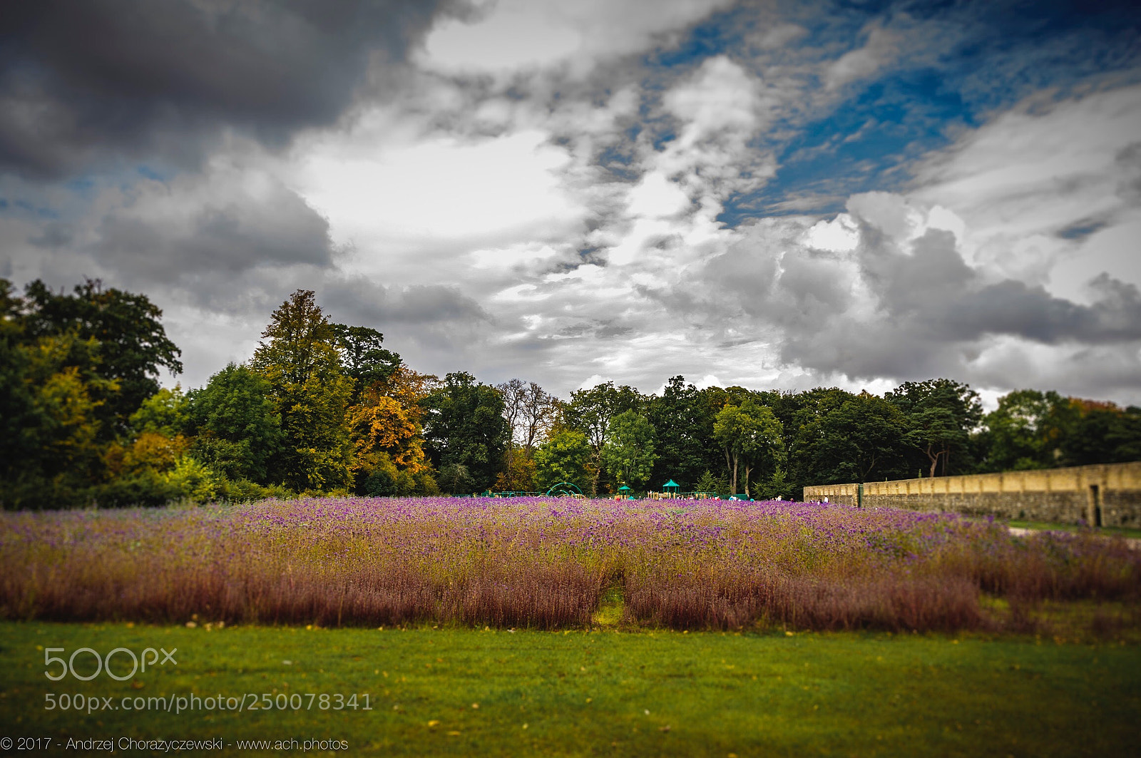 Nikon D90 sample photo. Phoenix park photography