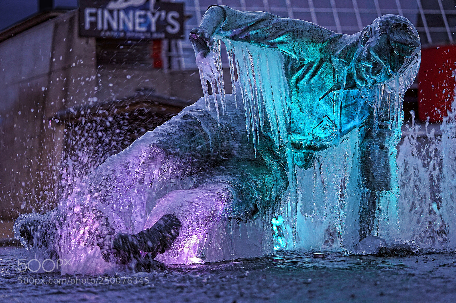 Sony a7 II sample photo. Iced up photography