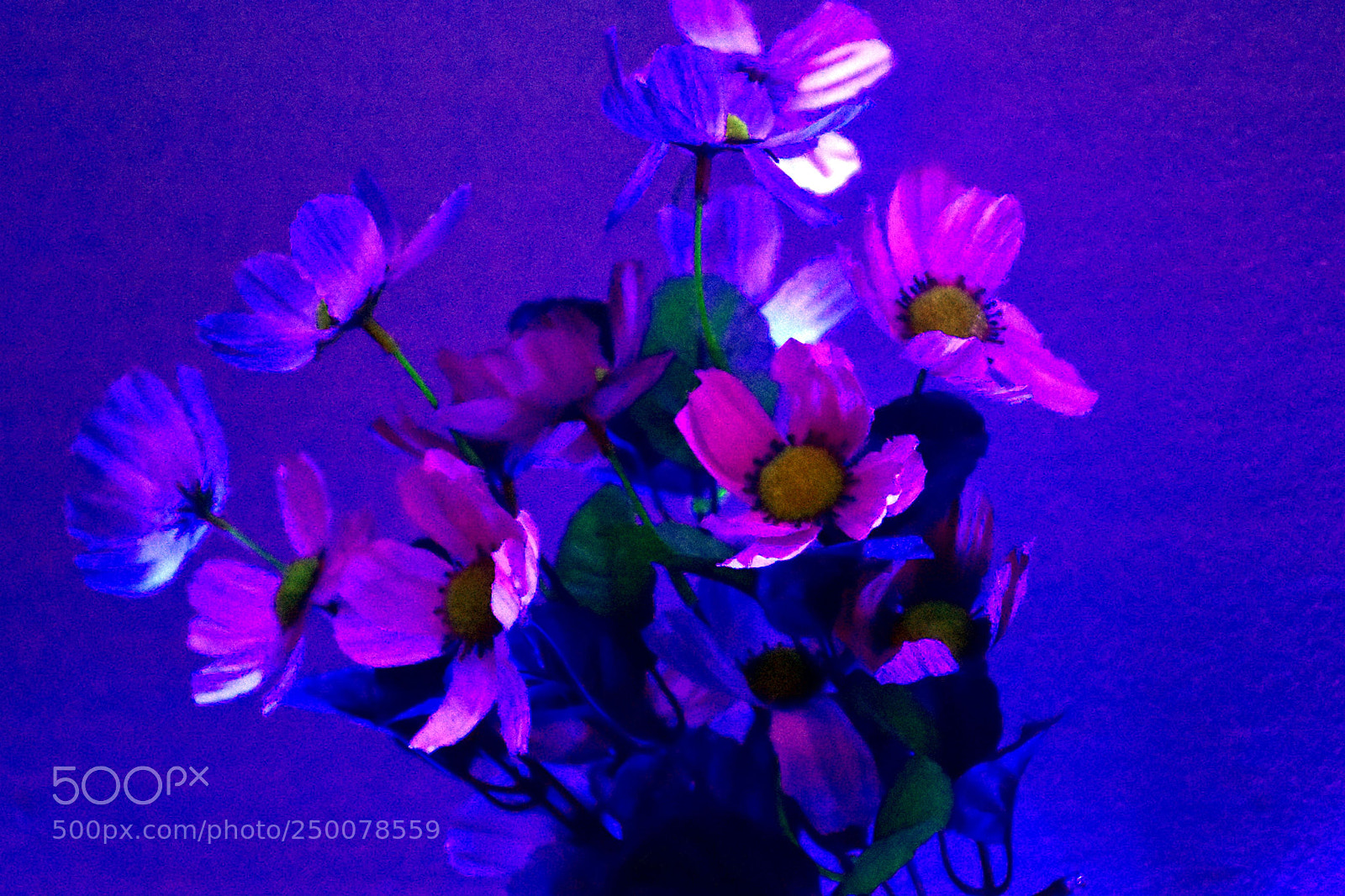 Nikon D7200 sample photo. Dsc photography
