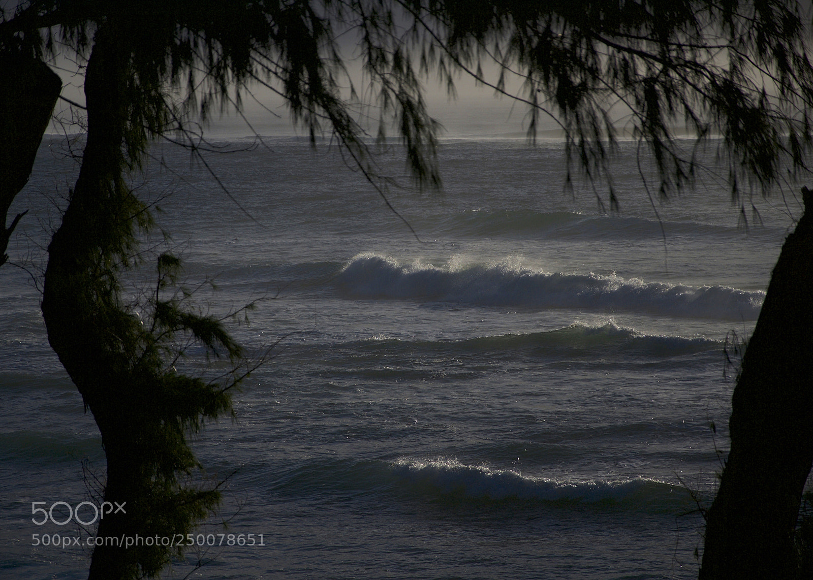 Nikon D300 sample photo. No lifeguard on duty photography