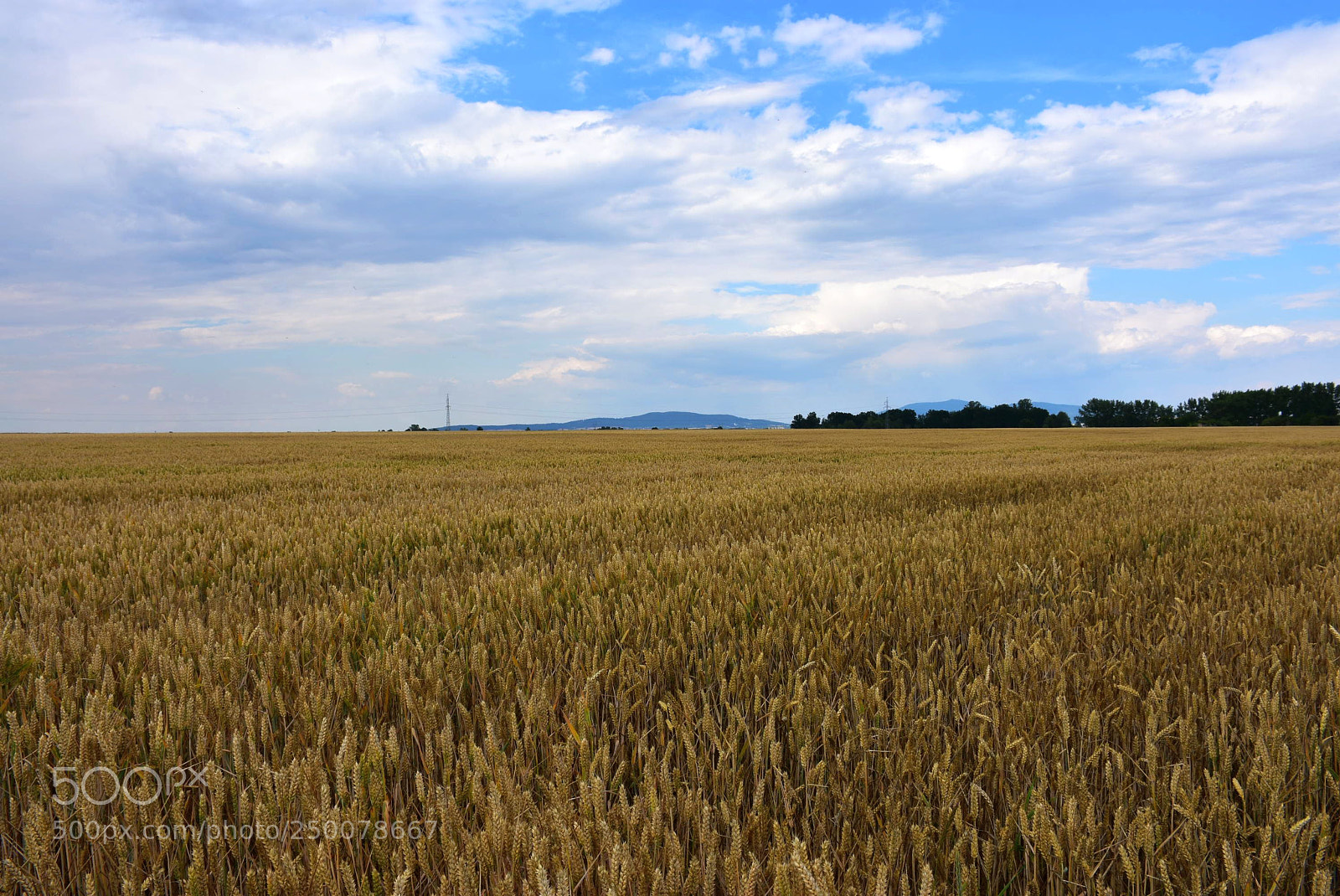 Nikon D7200 sample photo. Dsc photography