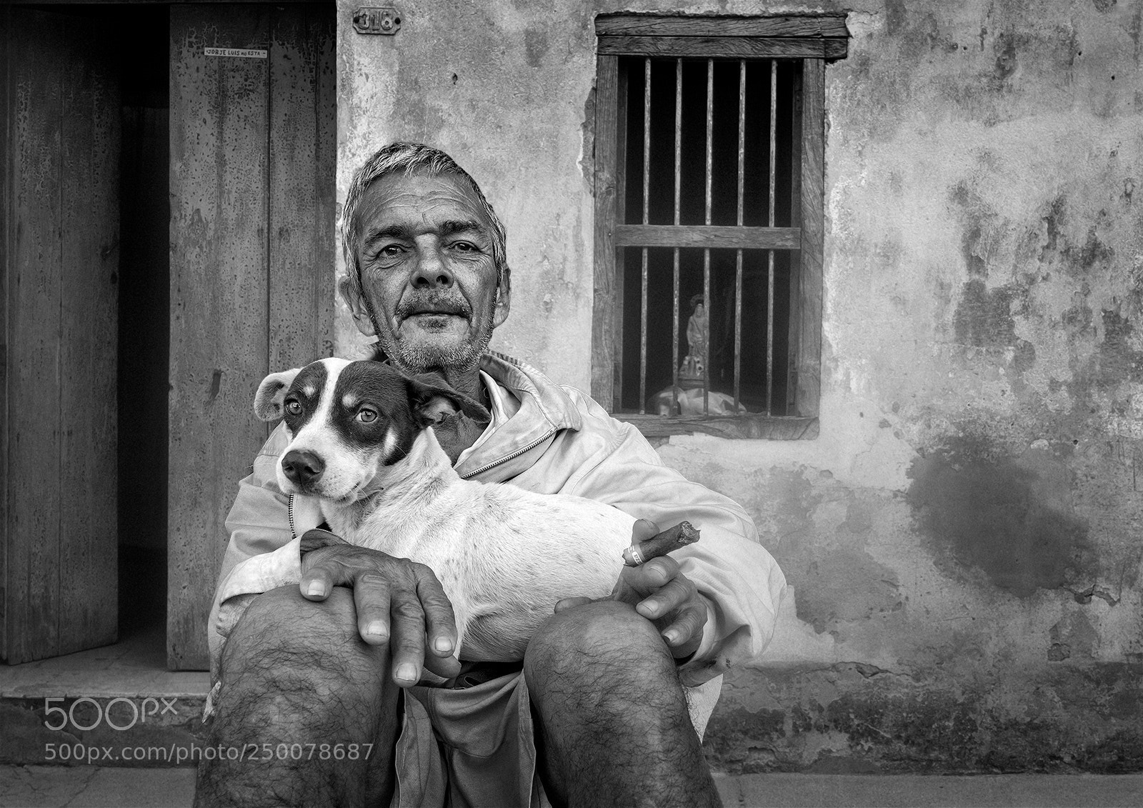 Fujifilm X-T2 sample photo. Mans best friend photography