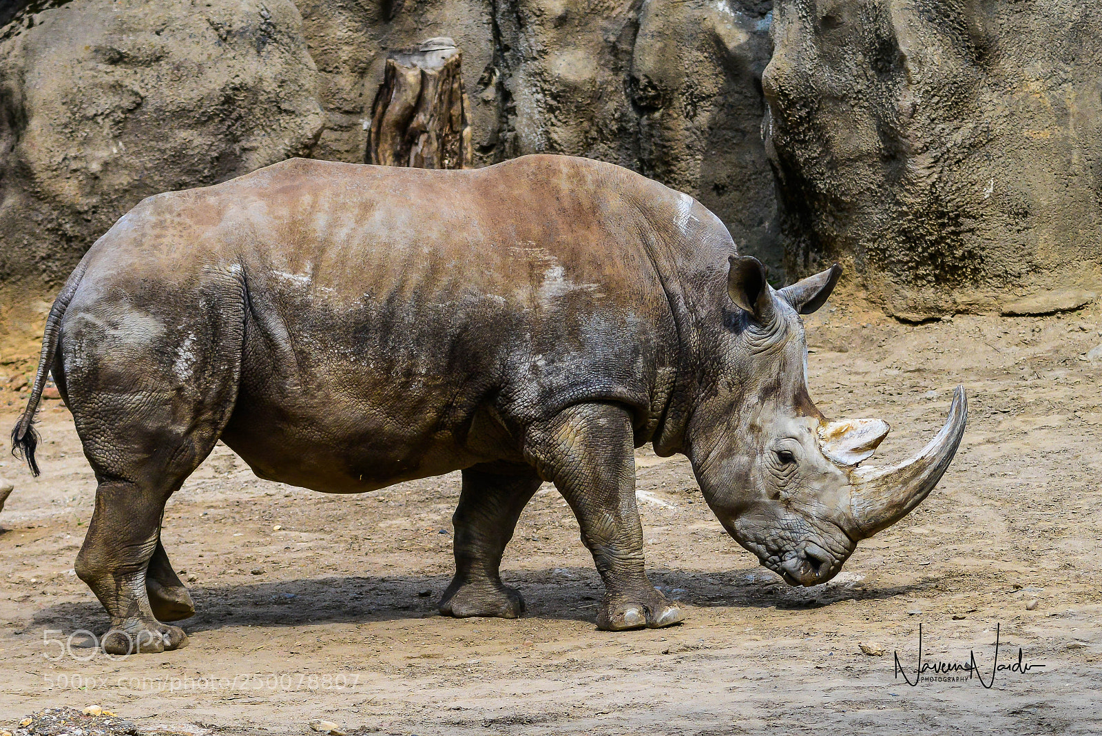 Nikon D800 sample photo. For sudan photography