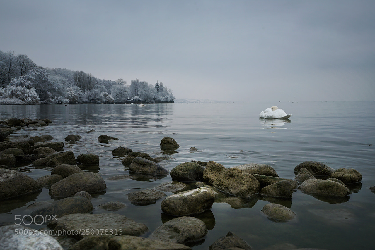 Sony a7S sample photo. Одиночество photography