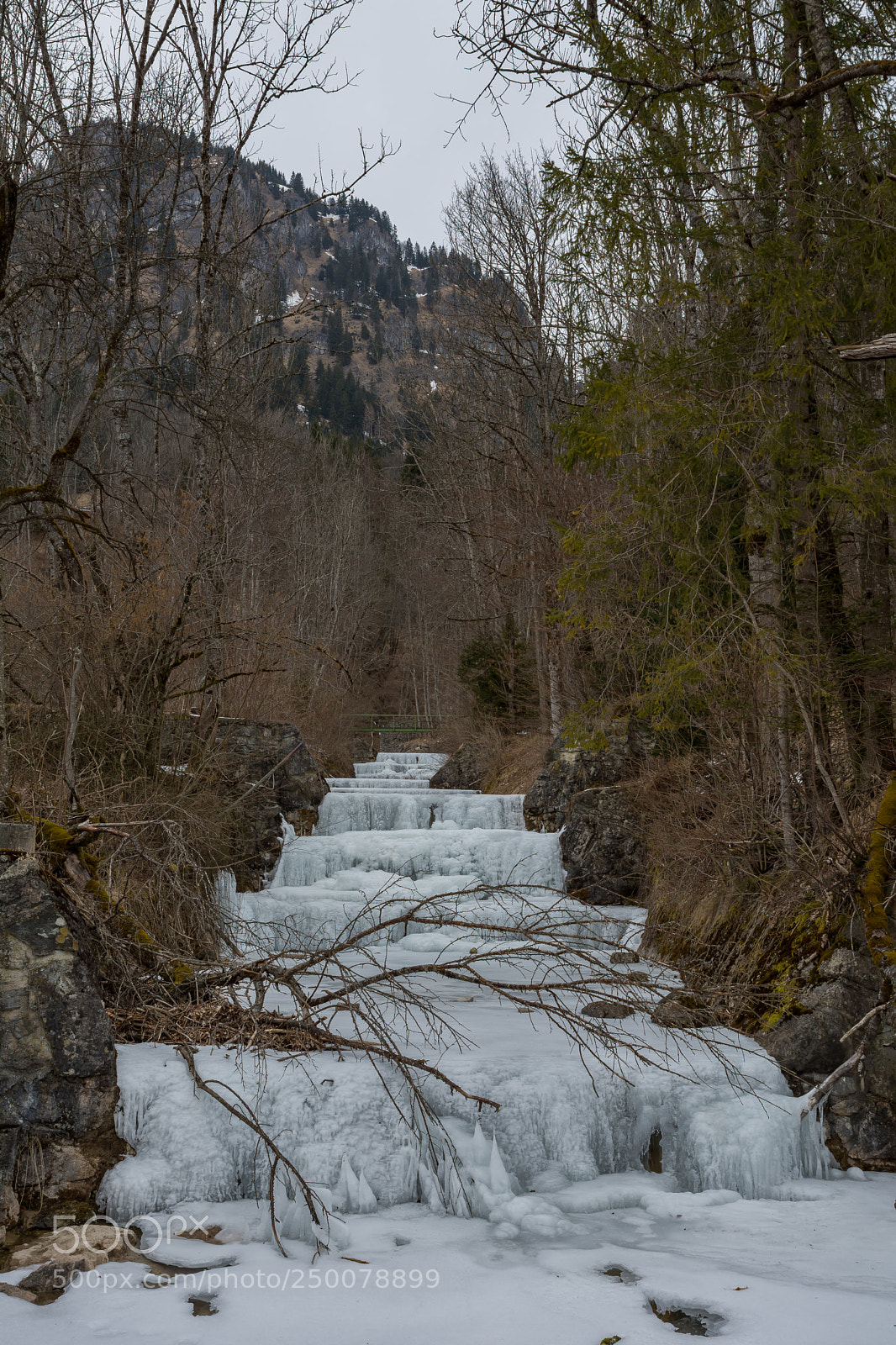Nikon D7100 sample photo. Kalter hirschbach photography