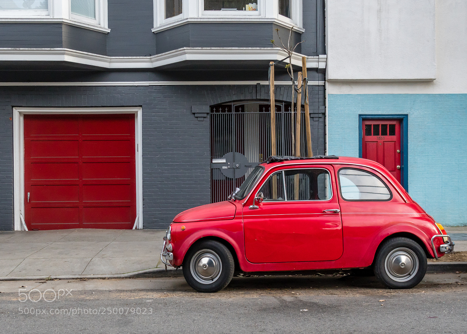 Sony a6500 sample photo. Surrounded by red photography
