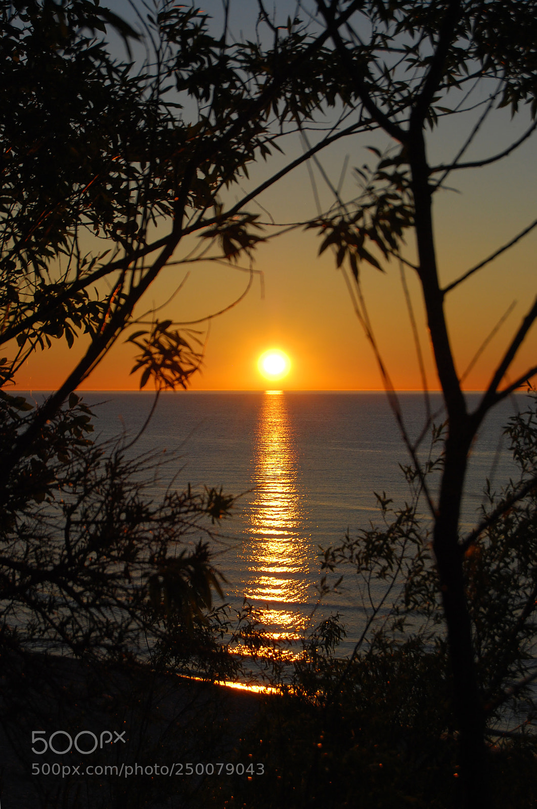 Nikon D60 sample photo. Point of view matter photography