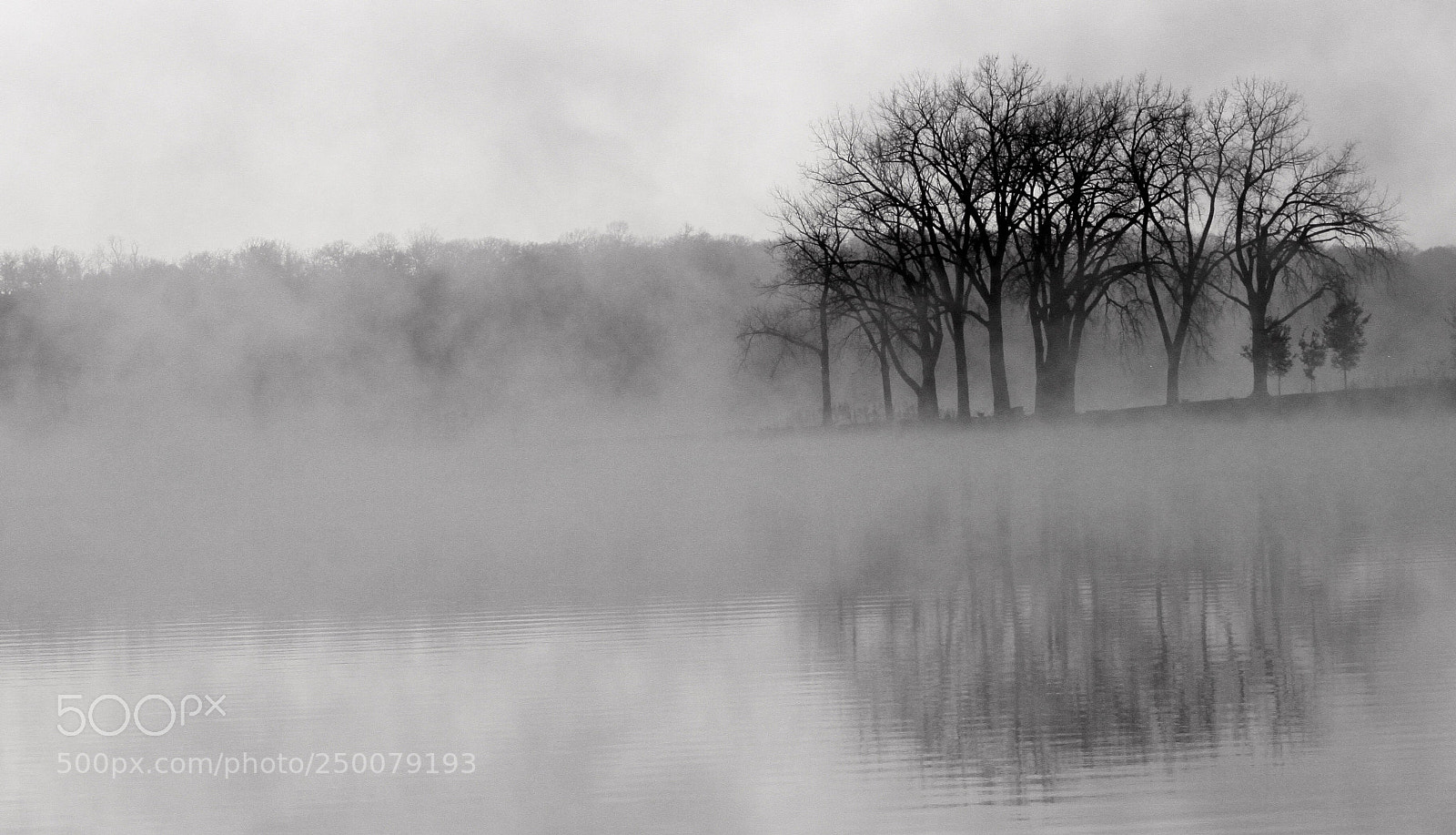 Canon EOS 50D sample photo. Morning  fog photography