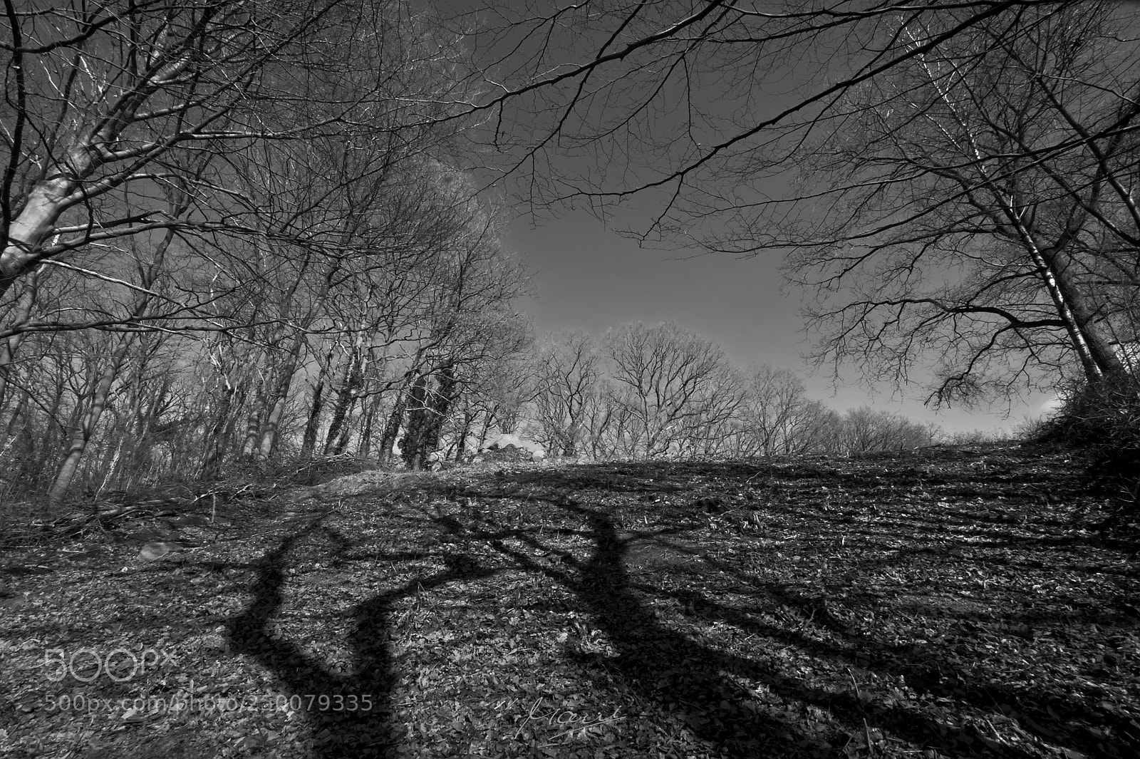 Nikon D90 sample photo. Mystic shadows b/w photography