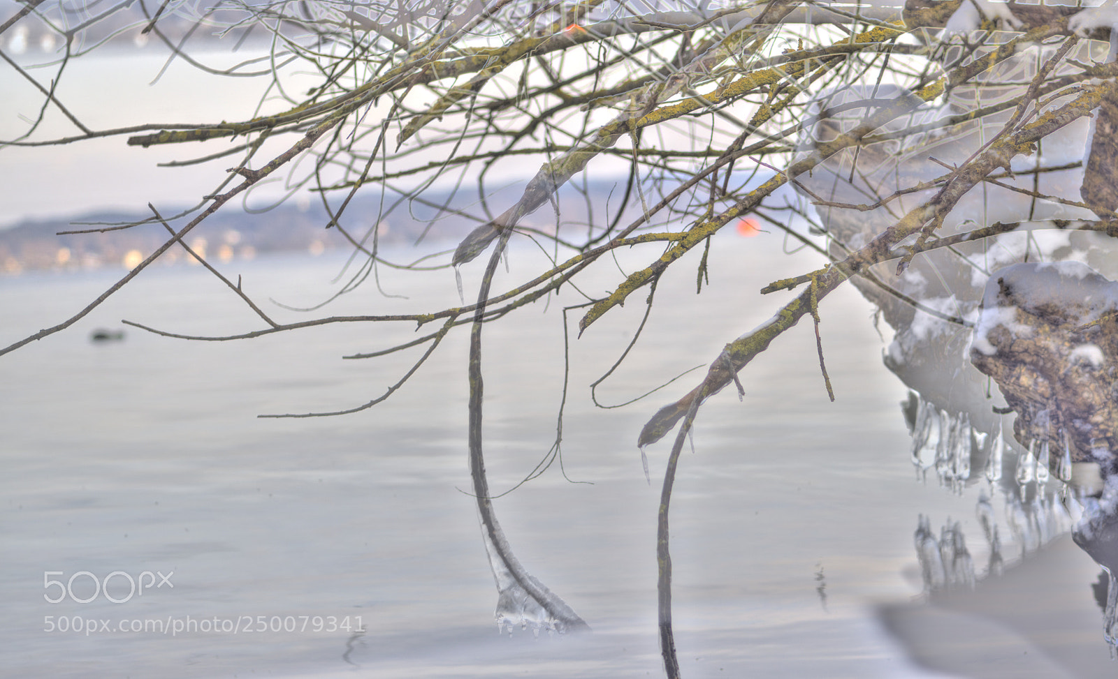 Sony a6000 sample photo. Frühling in tutzing photography