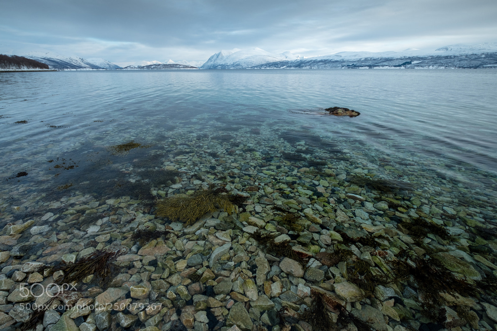 Fujifilm X-T2 sample photo. Cold quiet water photography