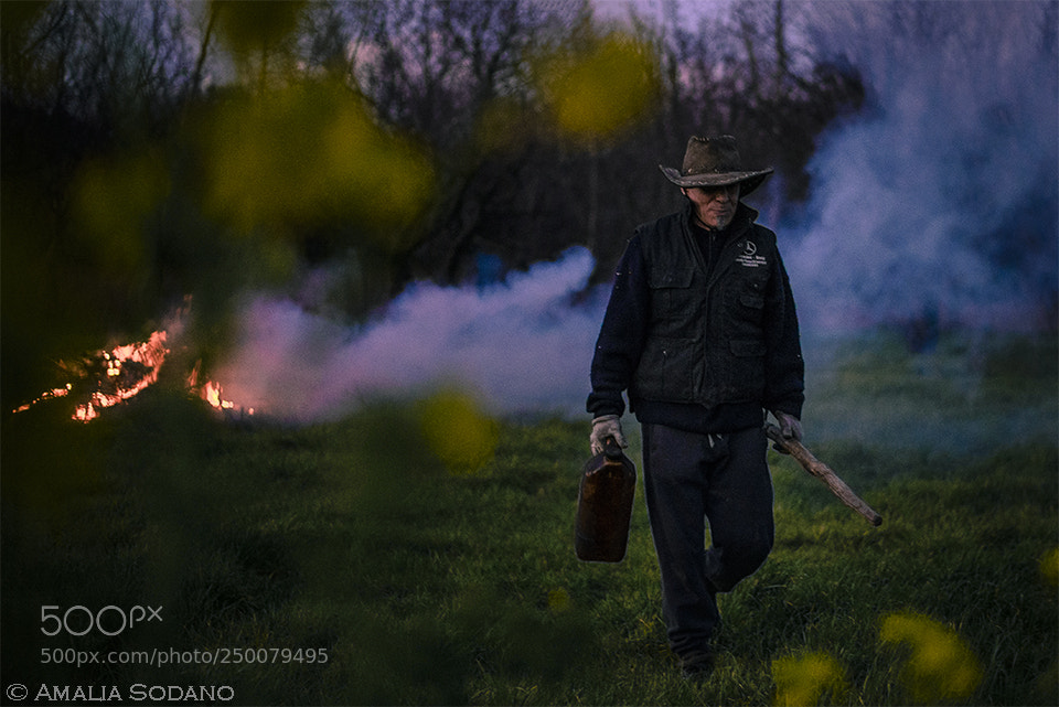Nikon D610 sample photo. Gangster photography