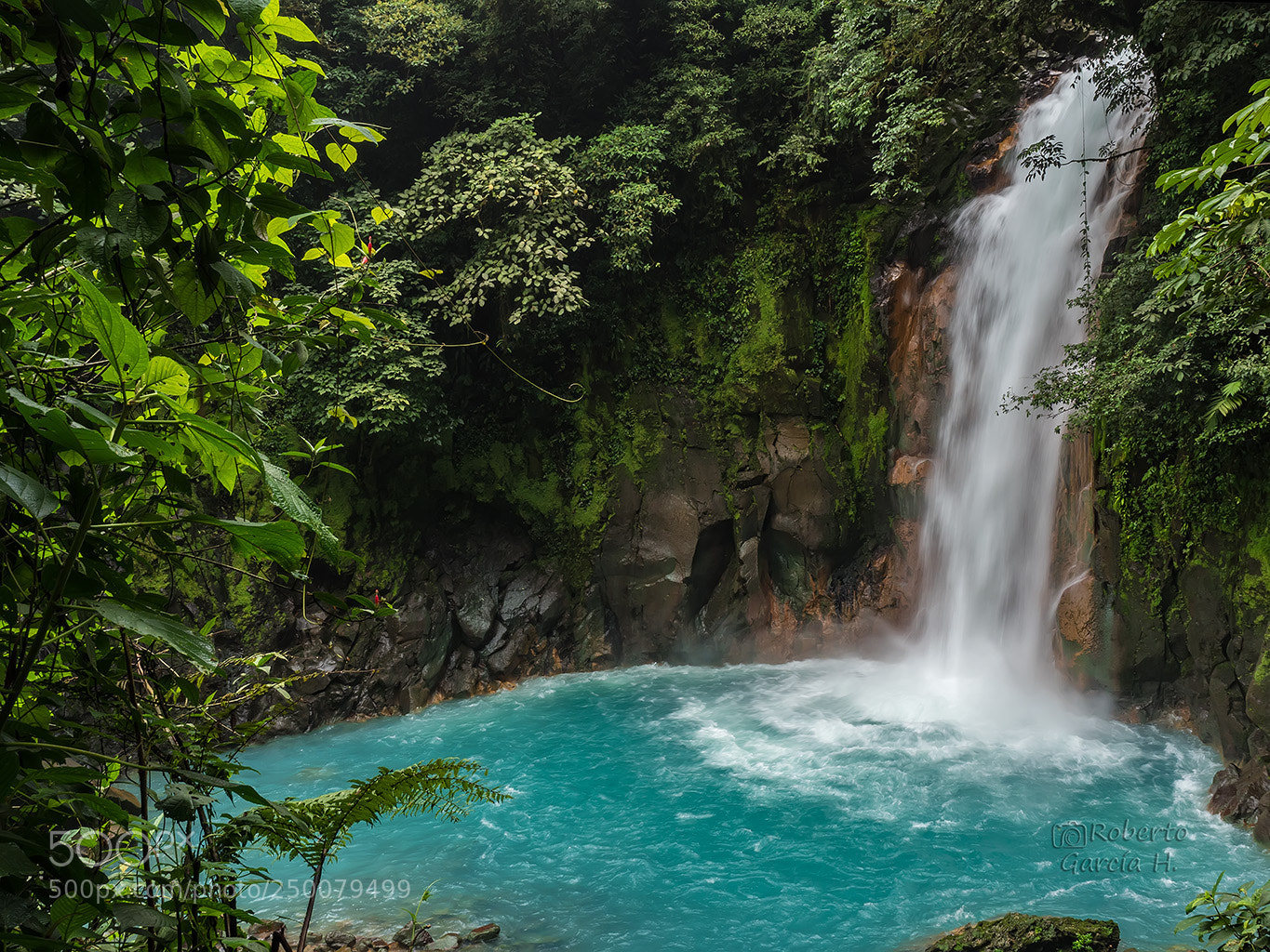 Olympus OM-D E-M1 Mark II sample photo. Rio celeste photography