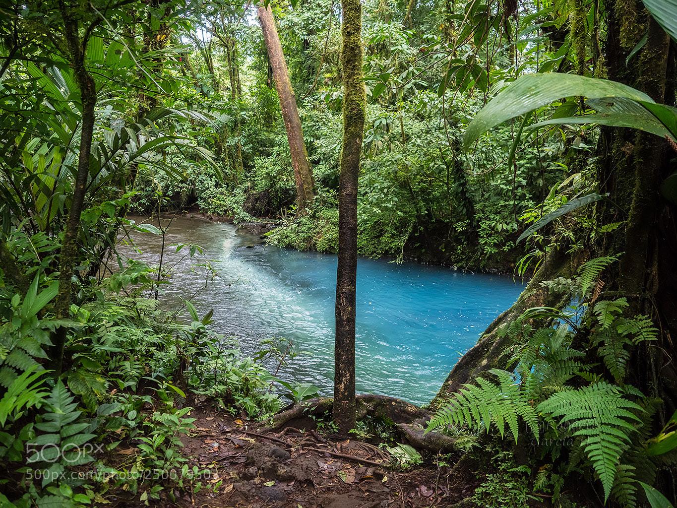 Olympus OM-D E-M1 Mark II sample photo. Rio celeste photography