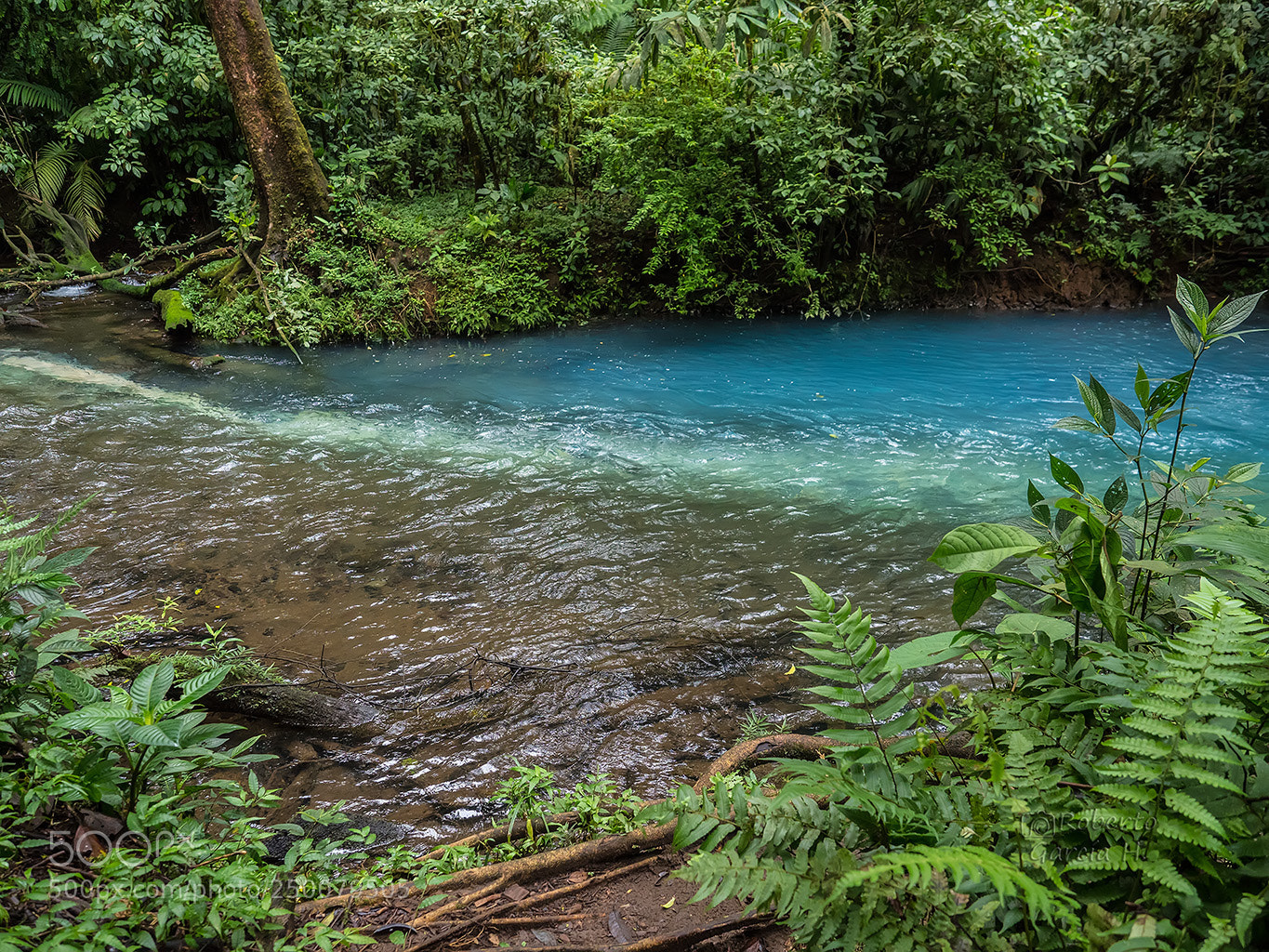 Olympus OM-D E-M1 Mark II sample photo. Rio celeste photography