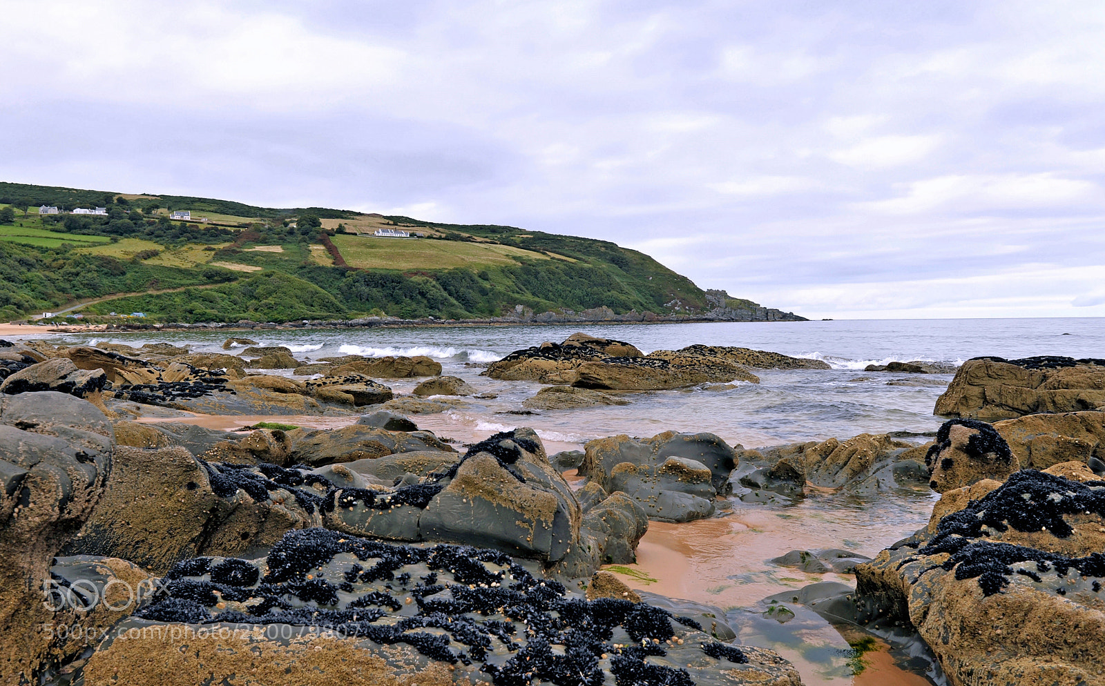 Nikon D700 sample photo. Kinnagoe bay irlande photography