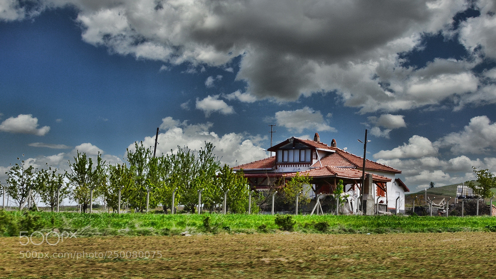 Nikon D7000 sample photo. *** photography