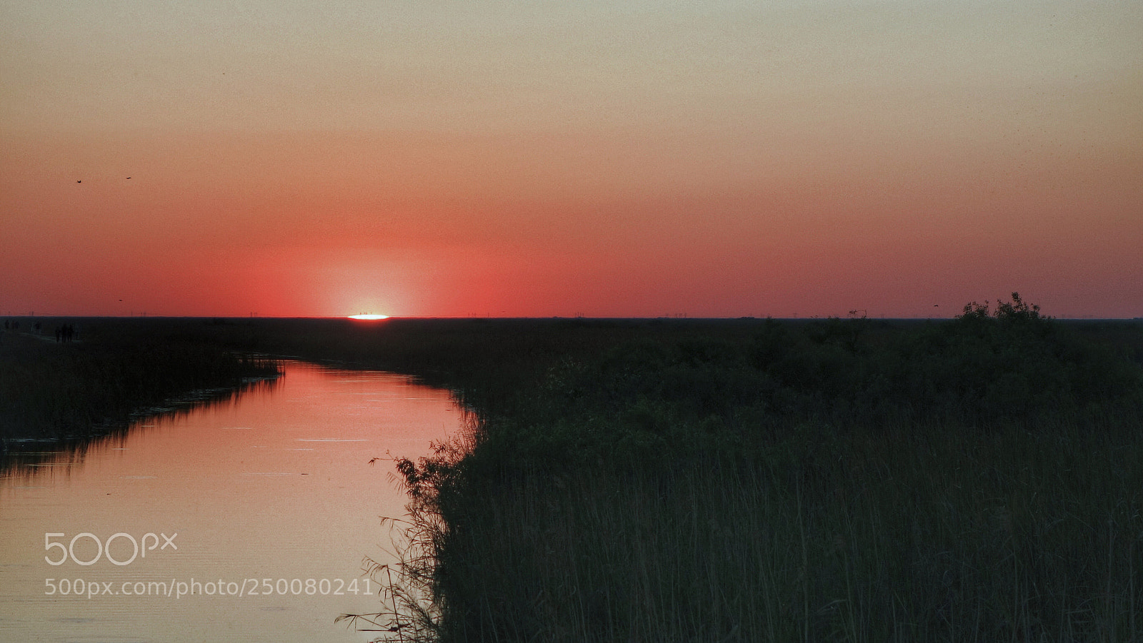 Sony Cyber-shot DSC-RX100 II sample photo. Everglades levee photography