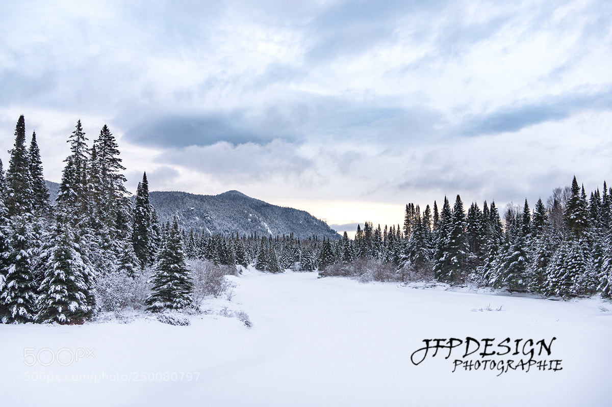 Sony Alpha a5000 (ILCE 5000) sample photo. Paysage d'hiver / winter landscape photography
