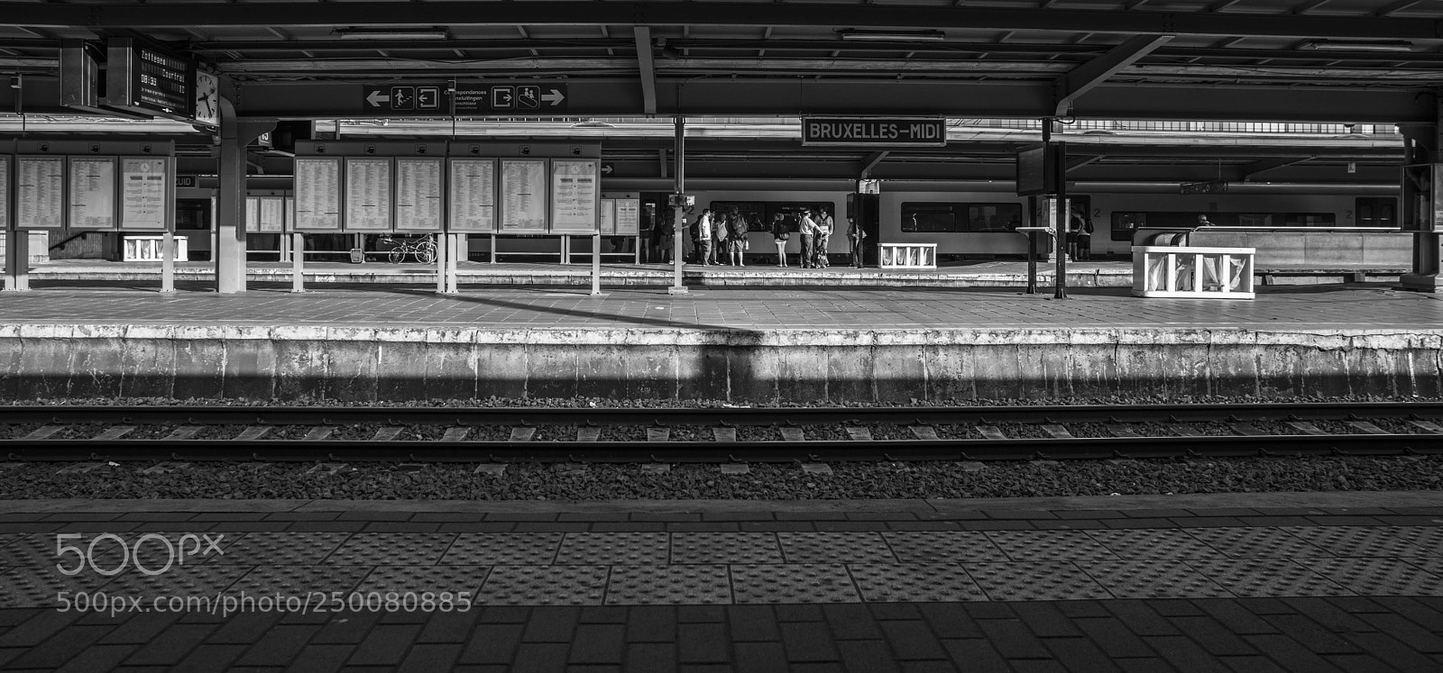 Nikon D800 sample photo. Lines in mono photography