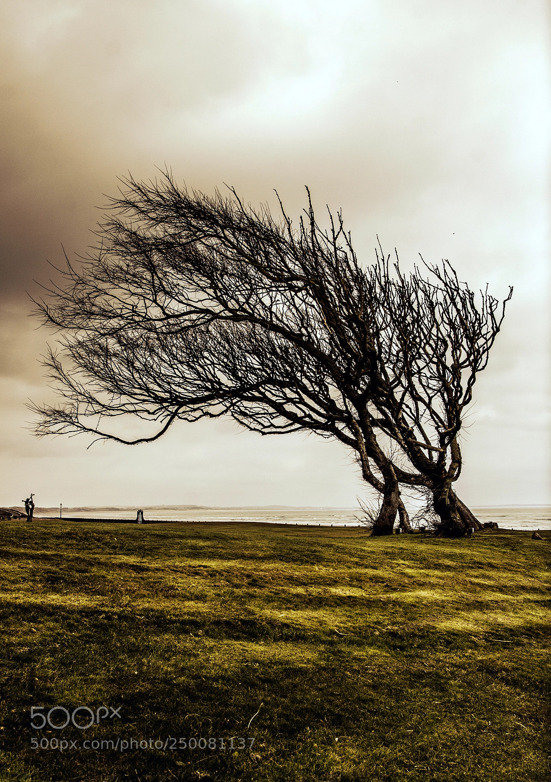 Pentax K-5 sample photo. Wind resistance photography