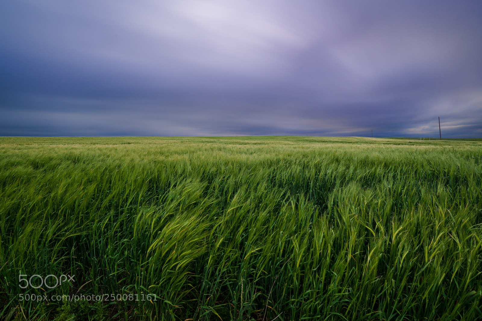 Nikon D800 sample photo. The prairies photography