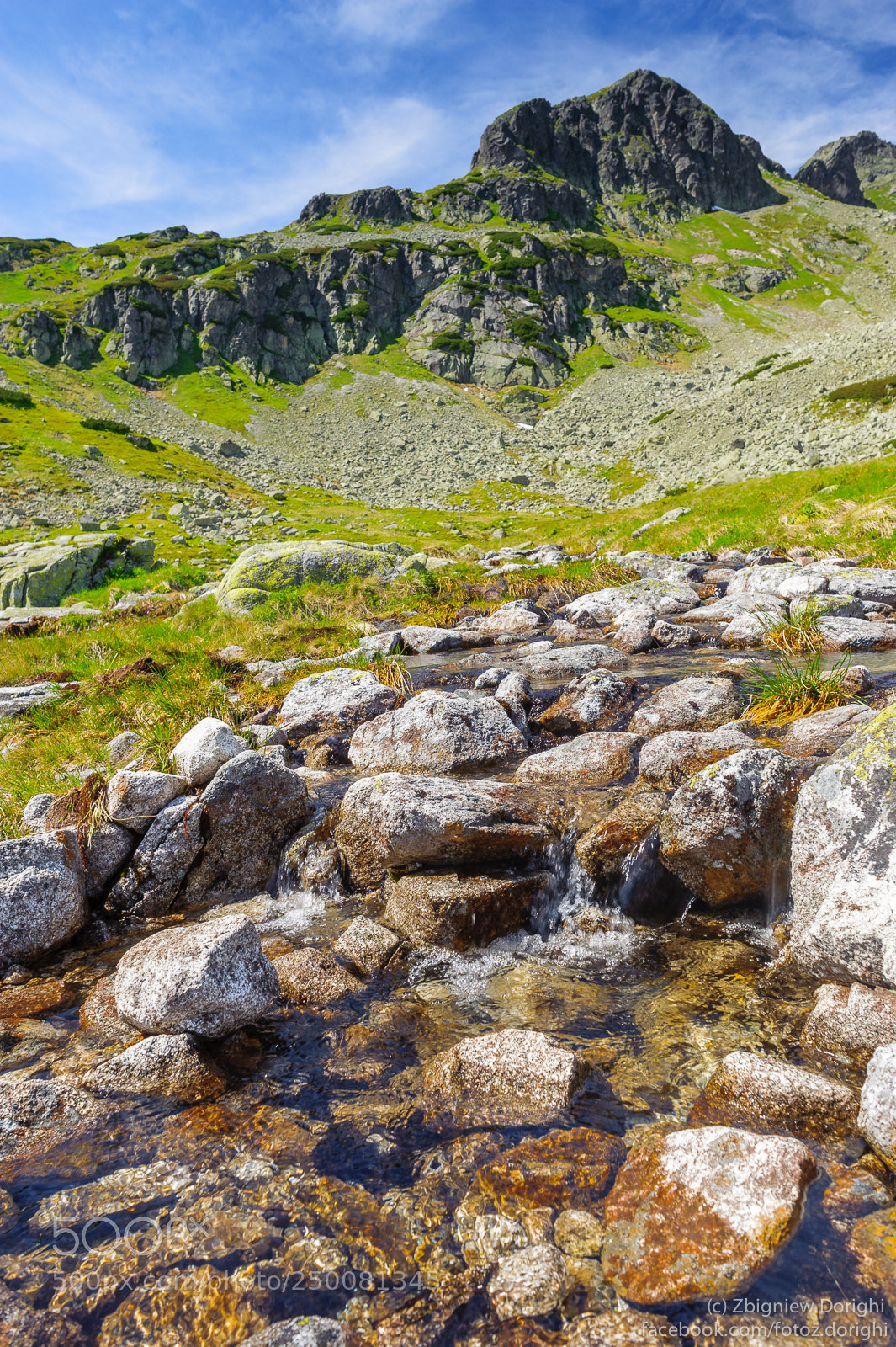 Nikon D700 sample photo. Stream in polish tatra photography