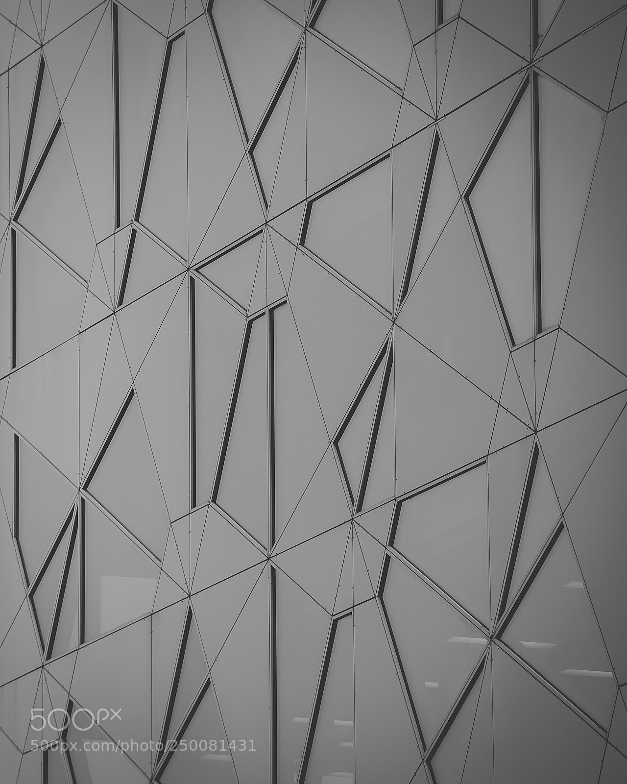 Nikon D600 sample photo. Patterns photography
