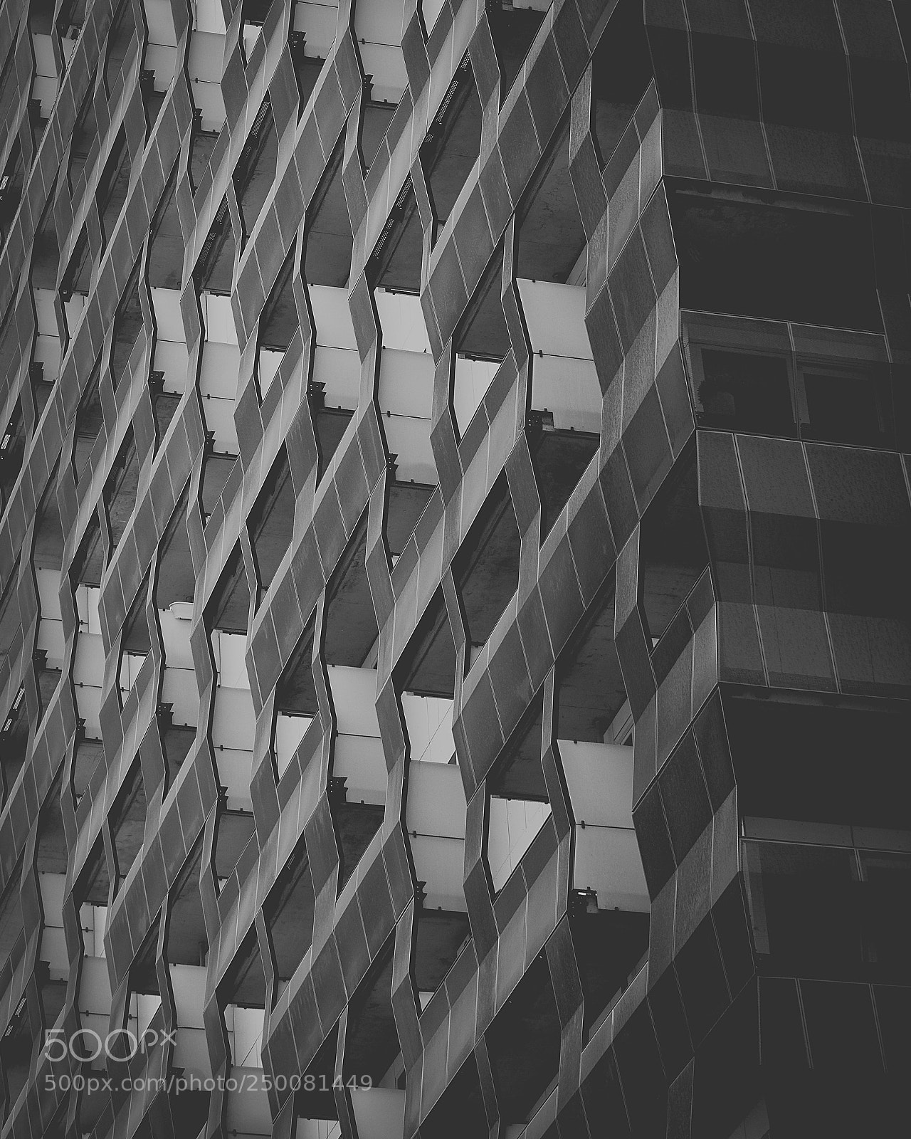 Nikon D600 sample photo. Patterns photography