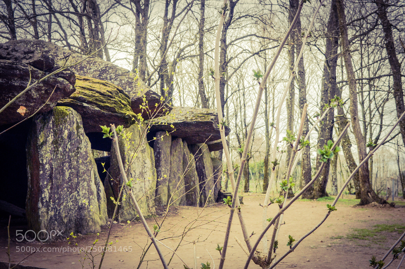 Nikon D3200 sample photo. Roche aux fees photography