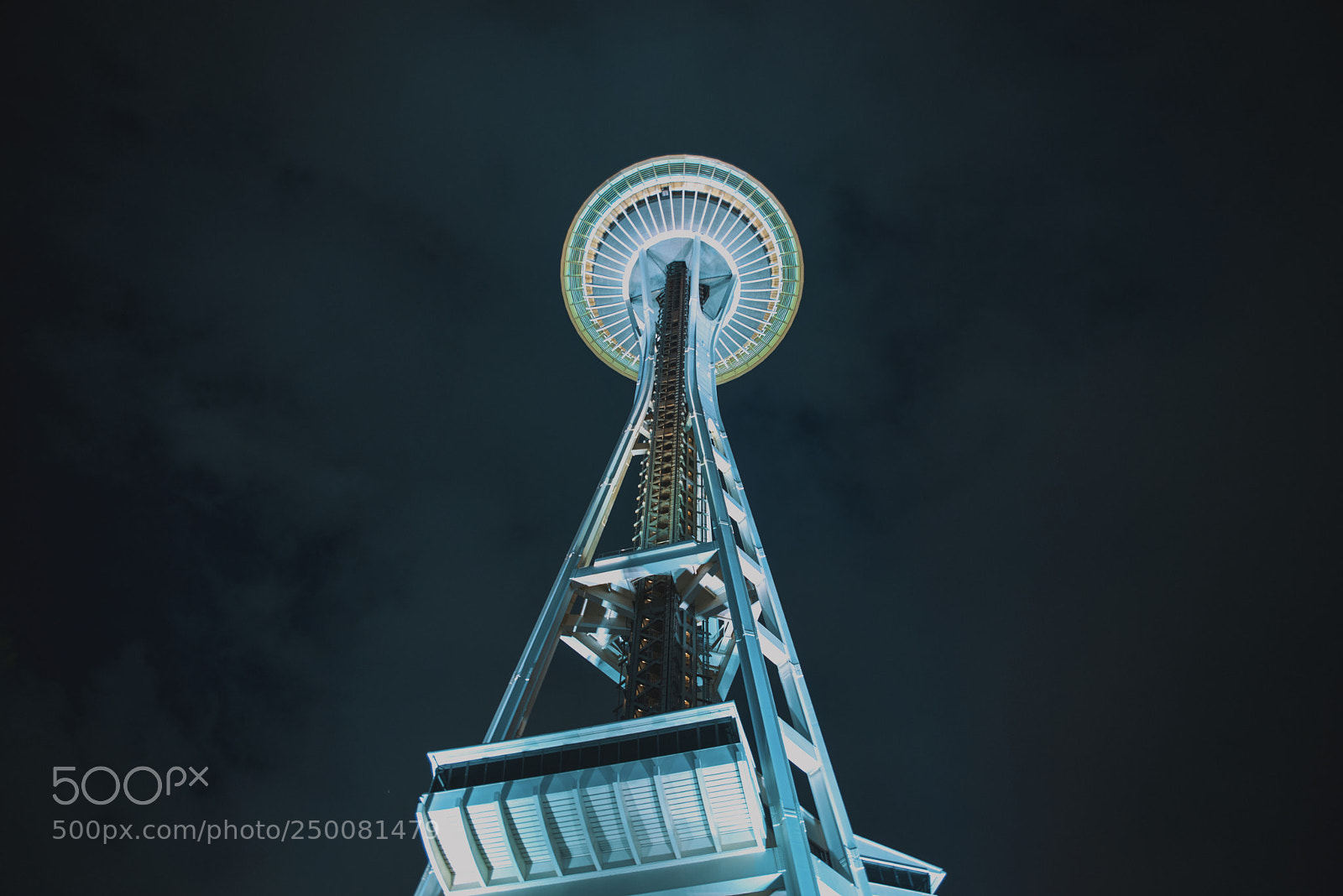 Nikon D610 sample photo. Space needle photography
