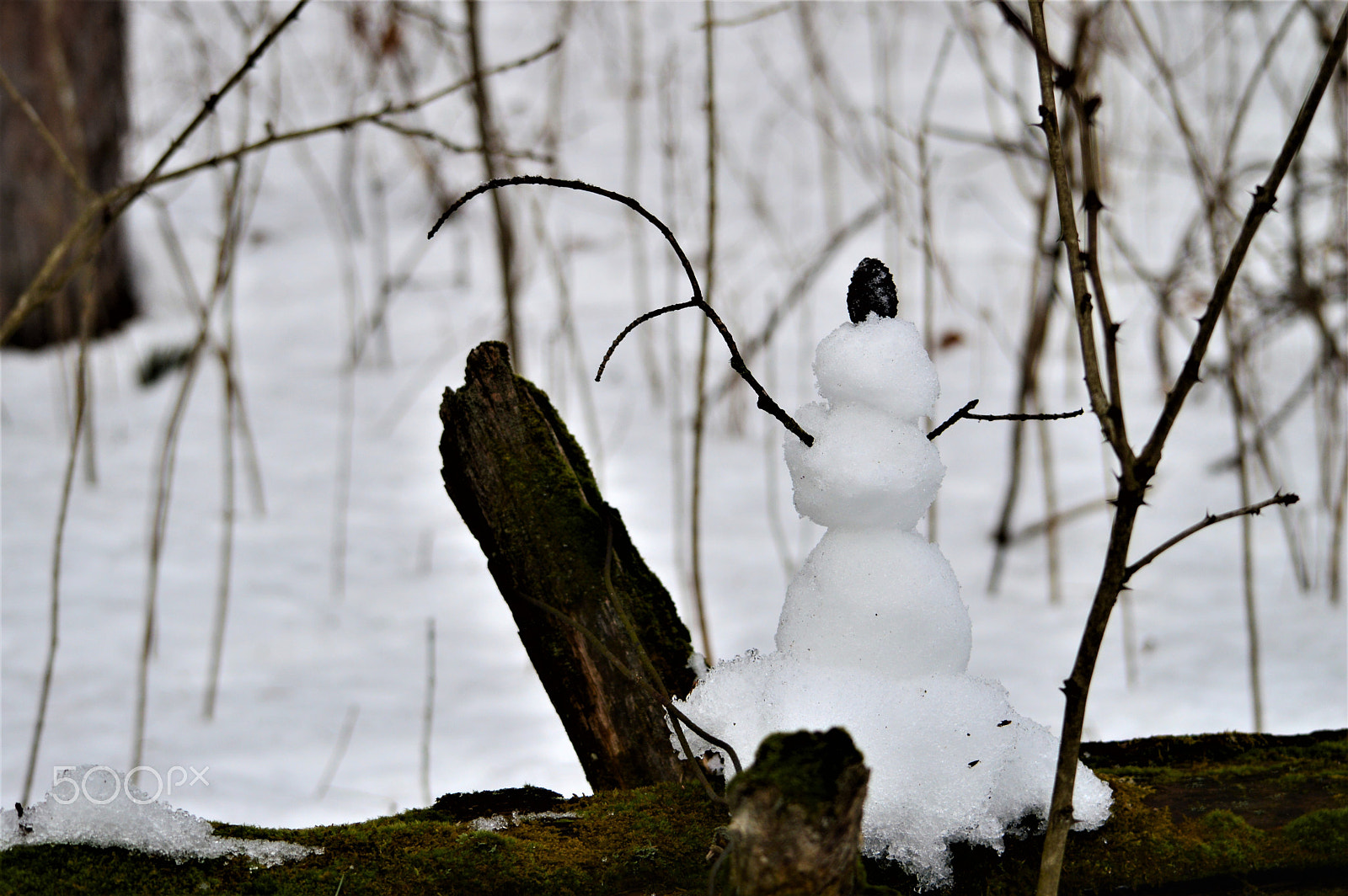 Nikon D3200 sample photo. Snowman on the fence post photography