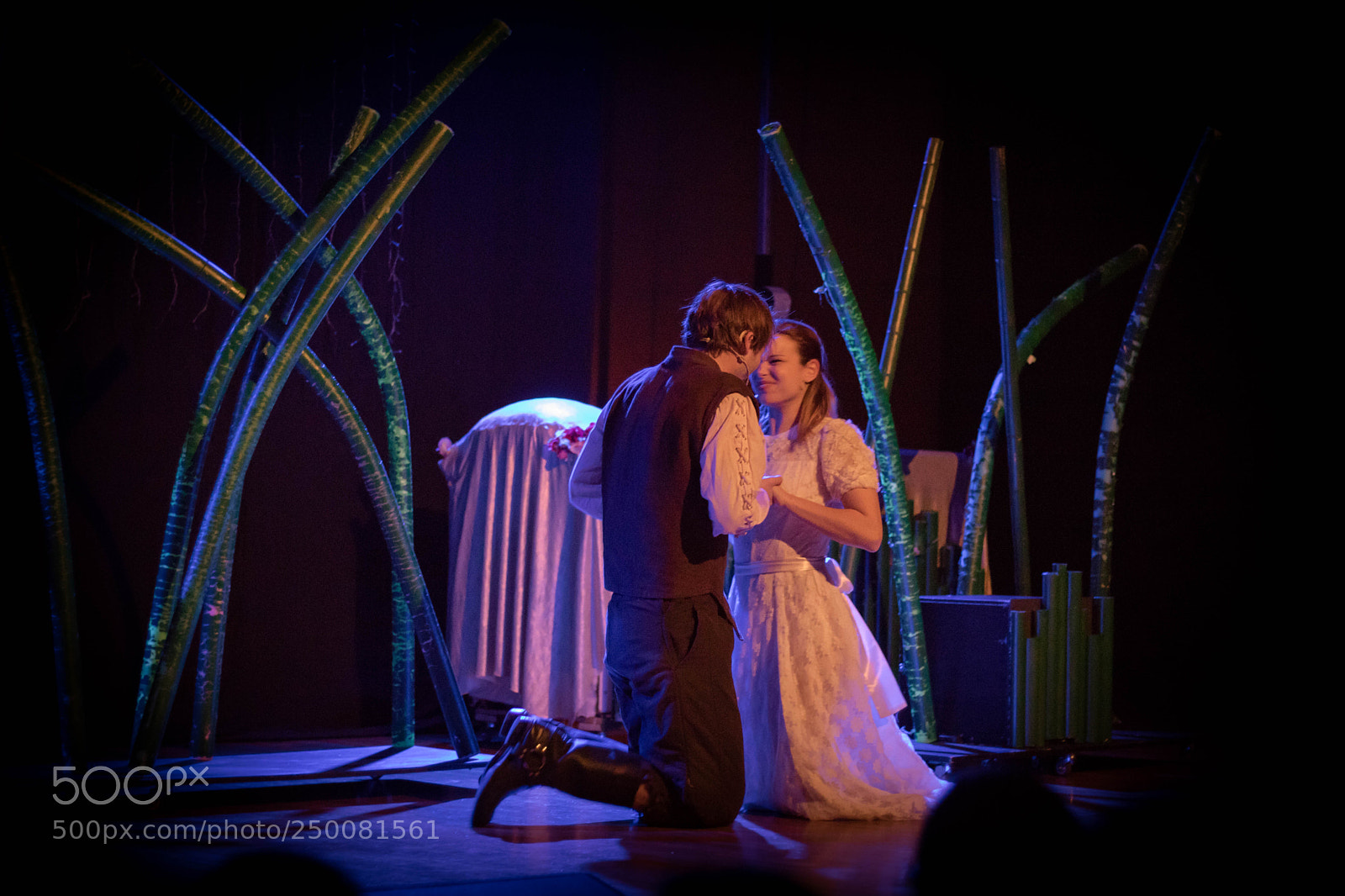 Canon EOS 750D (EOS Rebel T6i / EOS Kiss X8i) sample photo. A midsummer night's dream photography