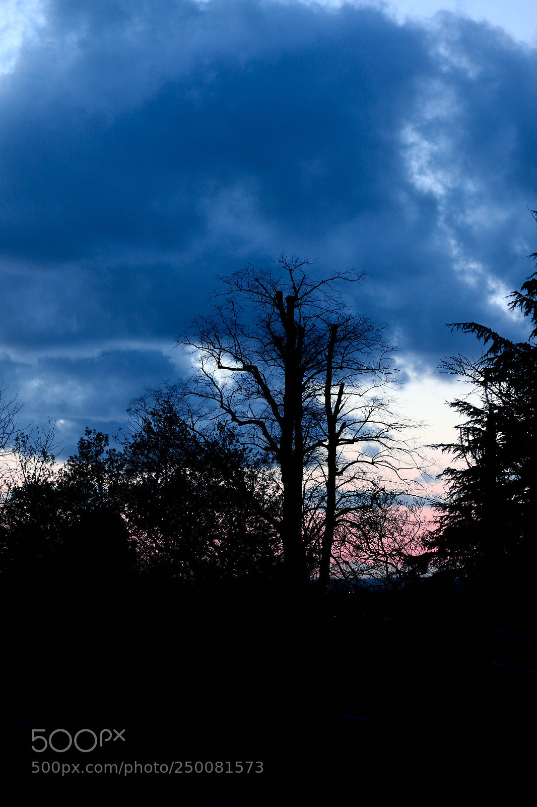 Canon EOS 70D sample photo. Untitled photography