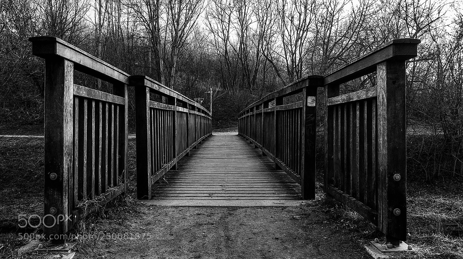 Sony Cyber-shot DSC-RX100 IV sample photo. Wooden bridge photography