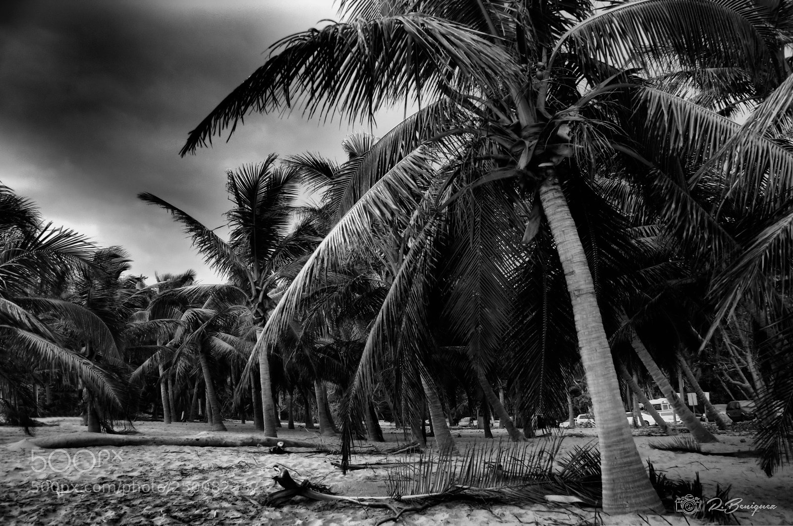 Nikon D5100 sample photo. Guajataca tunnel beach photography
