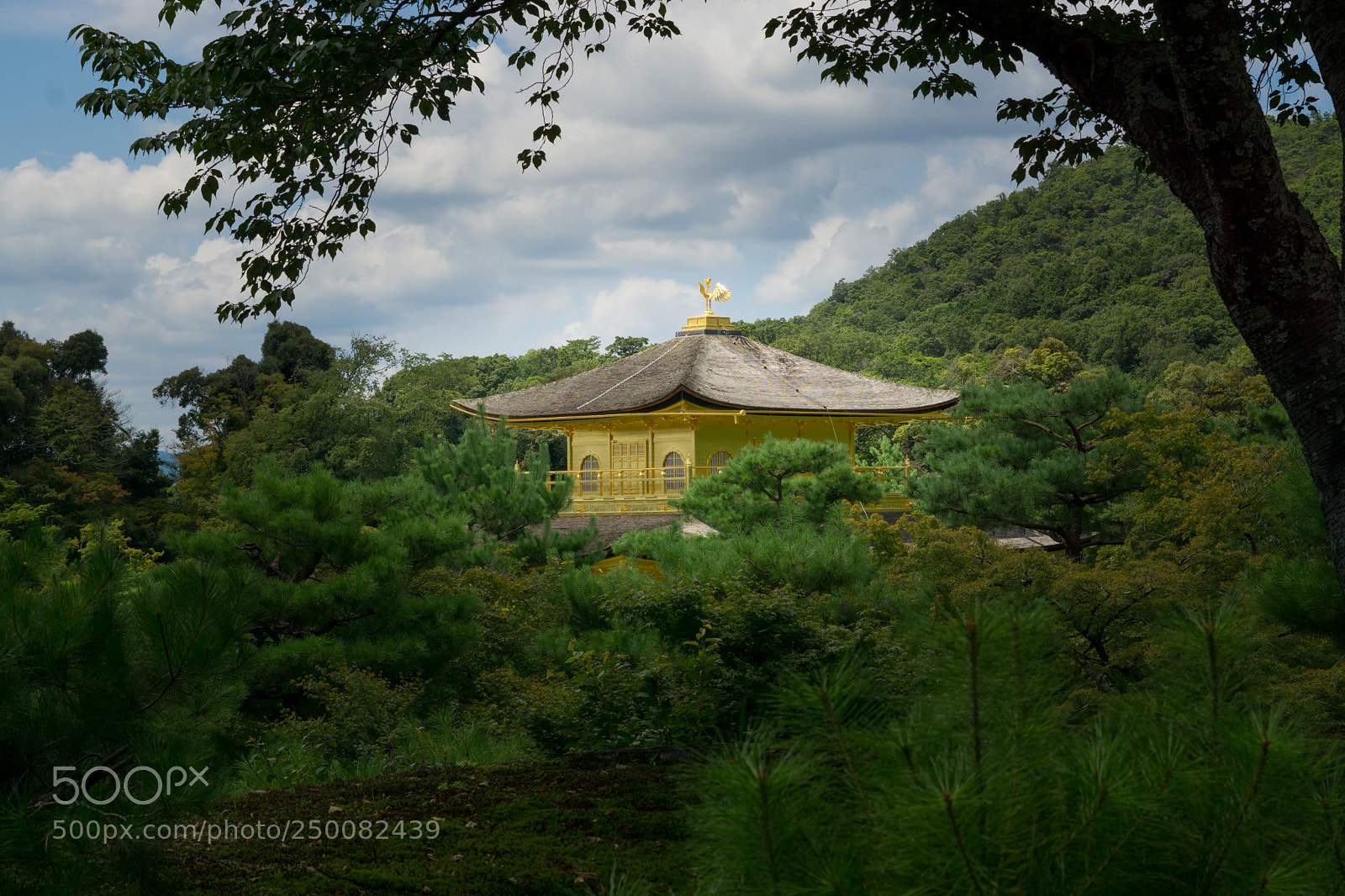 Sony a6000 sample photo. Kyoto photography