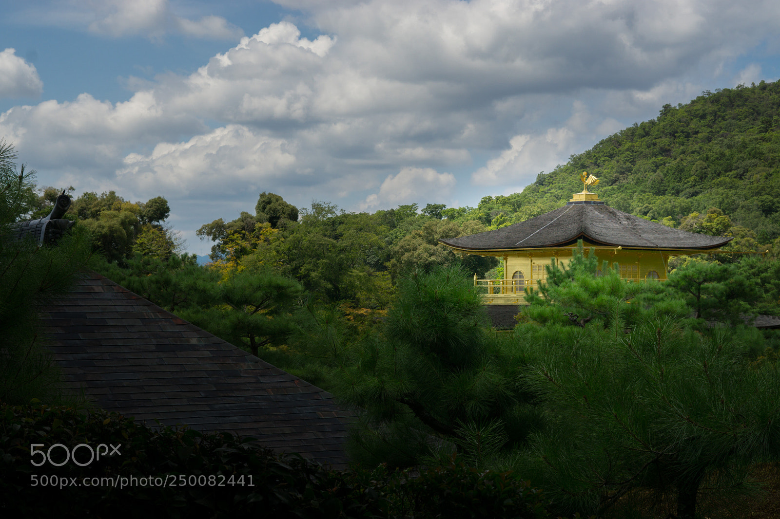 Sony a6000 sample photo. Kyoto photography